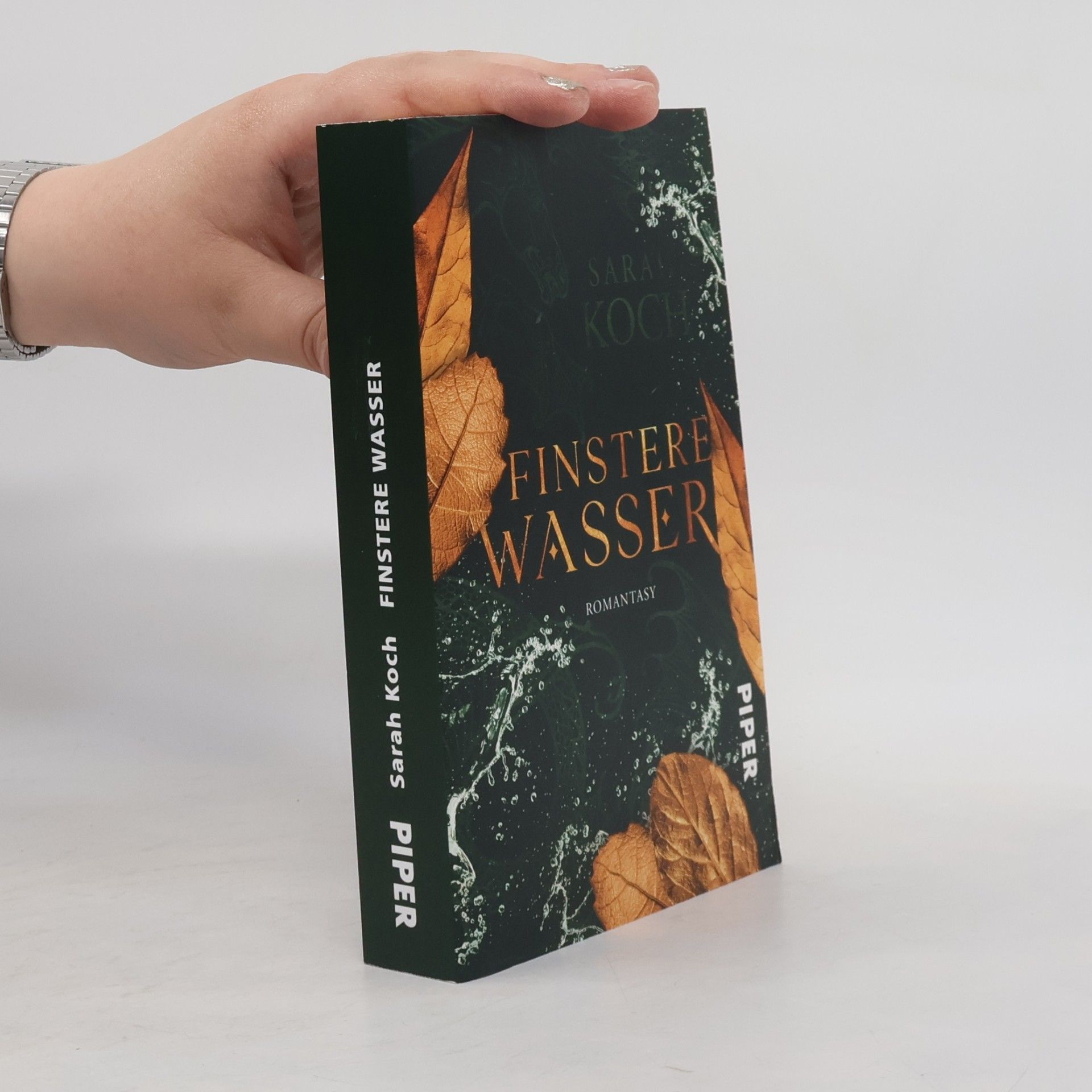 Sarah Koch Finstere Wasser
