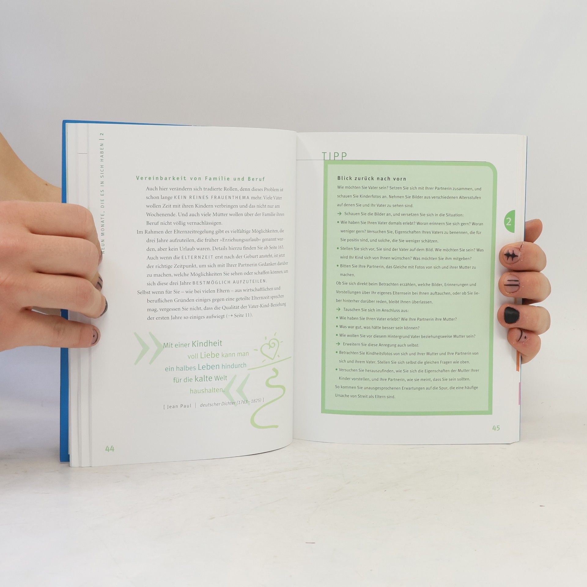 Robert Richter Das Papa-Handbuch