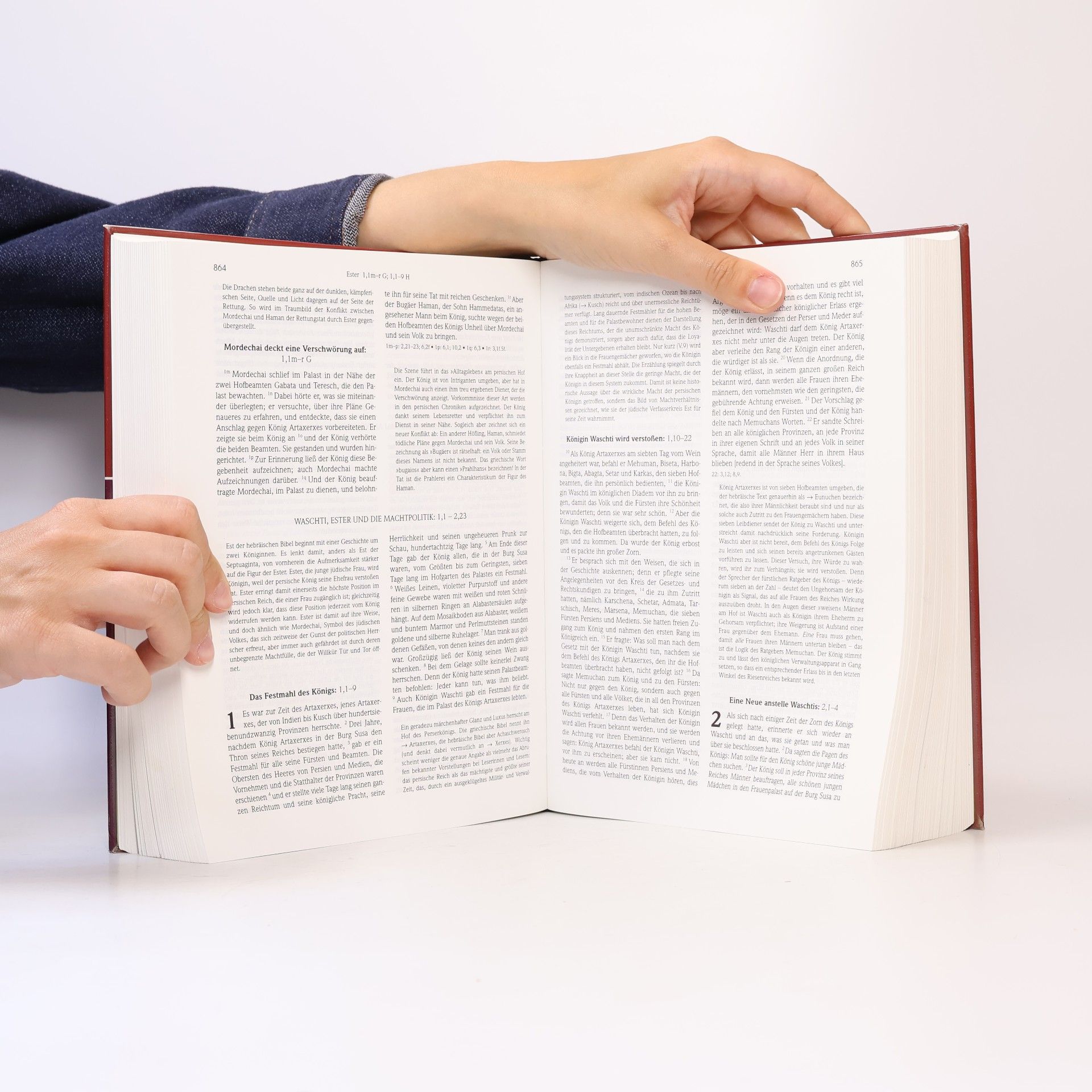 Erich Zenger Stuttgarter Altes Testament