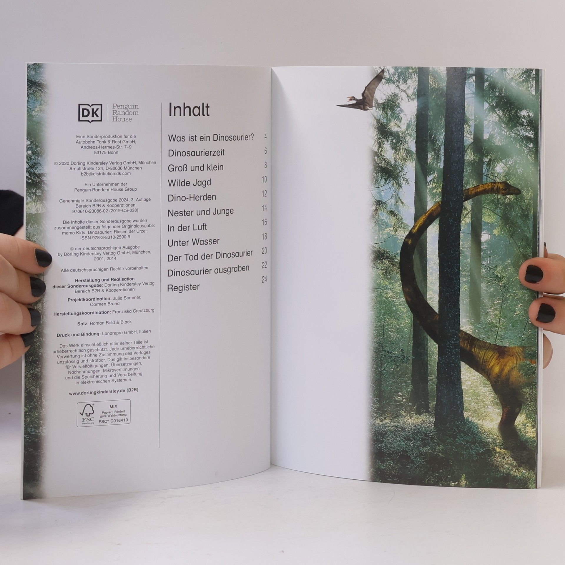kolektiv Dinosaurier