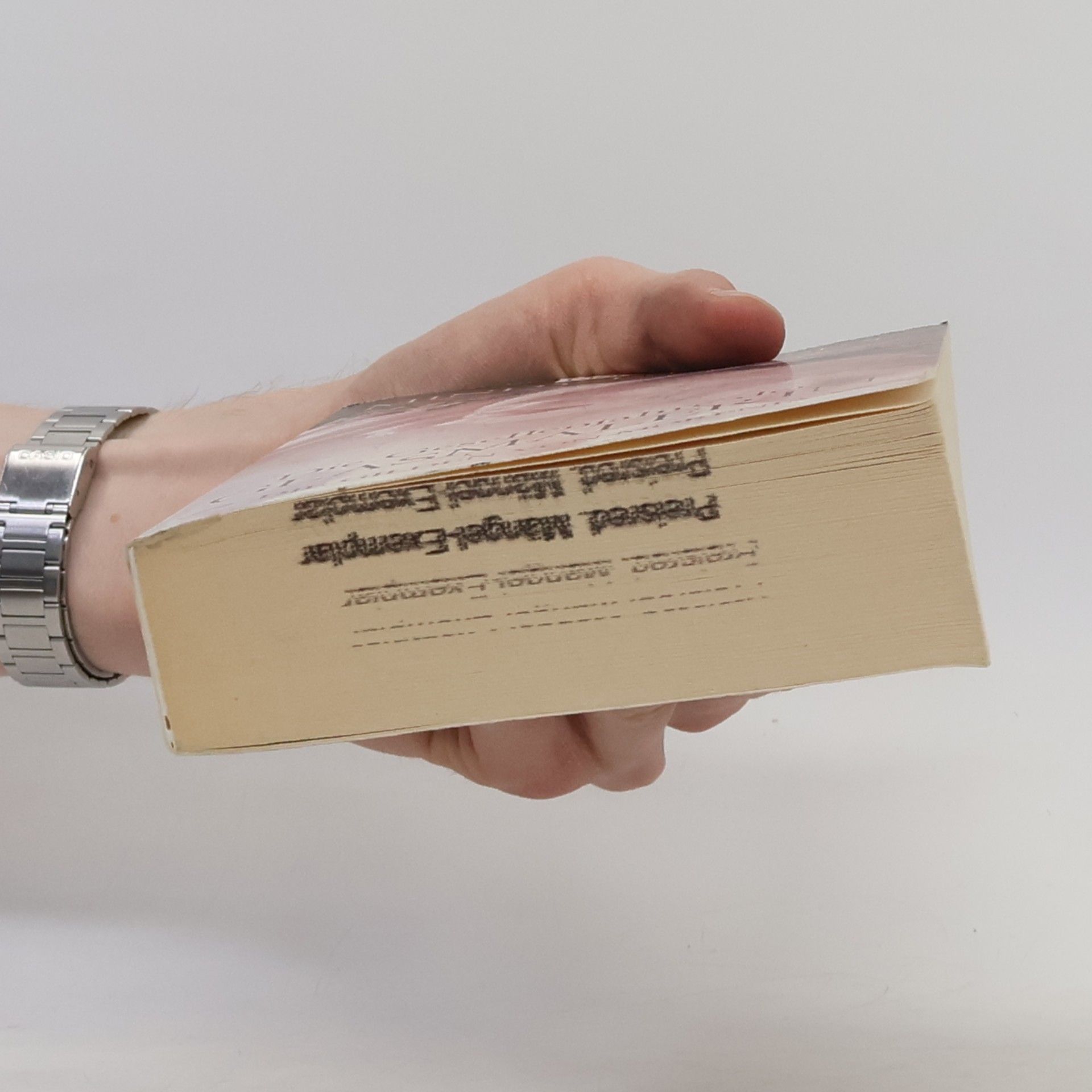 Mindy L. Klasky Die Gesellenjahre der Glasmalerin. Die Gilden von Morenia 2