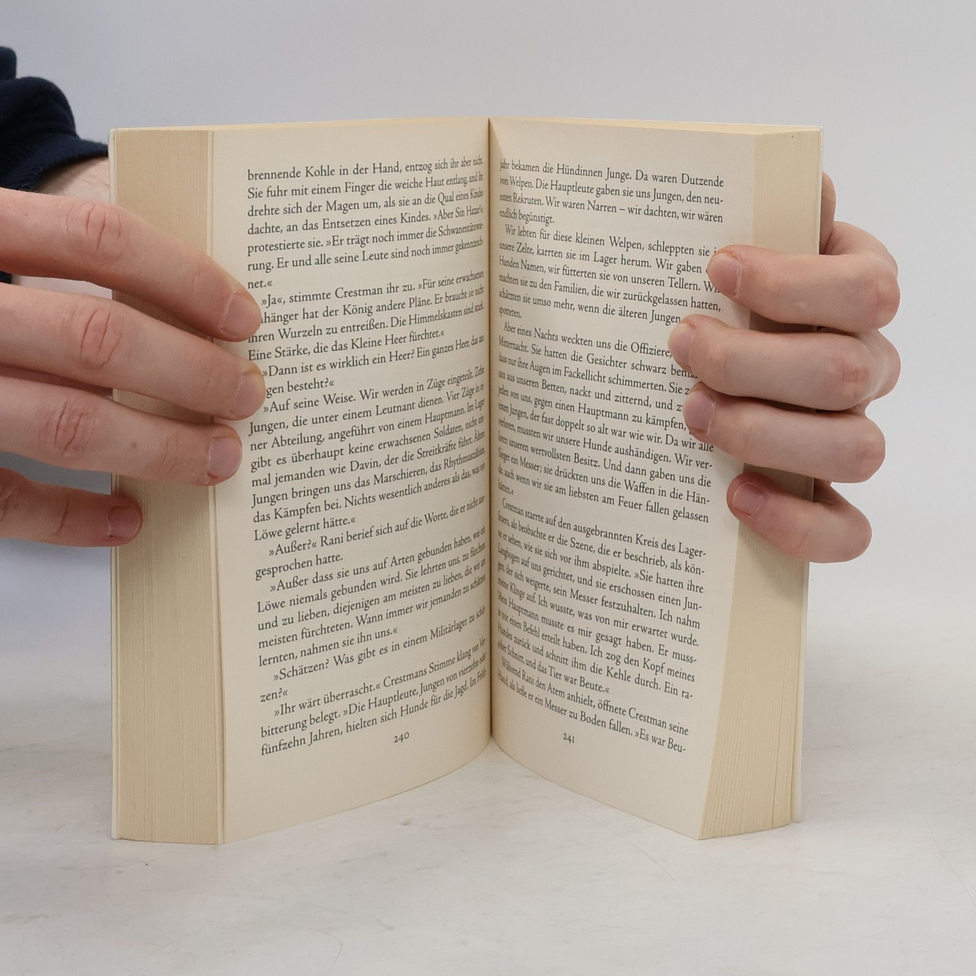 Mindy L. Klasky Die Gesellenjahre der Glasmalerin. Die Gilden von Morenia 2