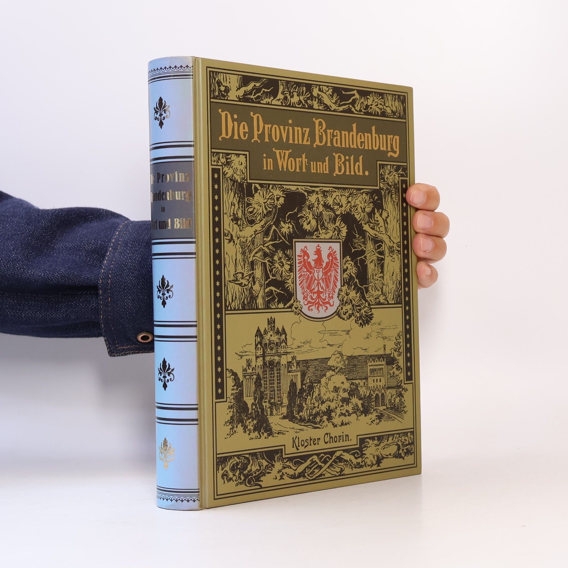 Pestalozzi-Verein der Provinz Brandenburg. Die Provinz Brandenburg in Wort und Bild