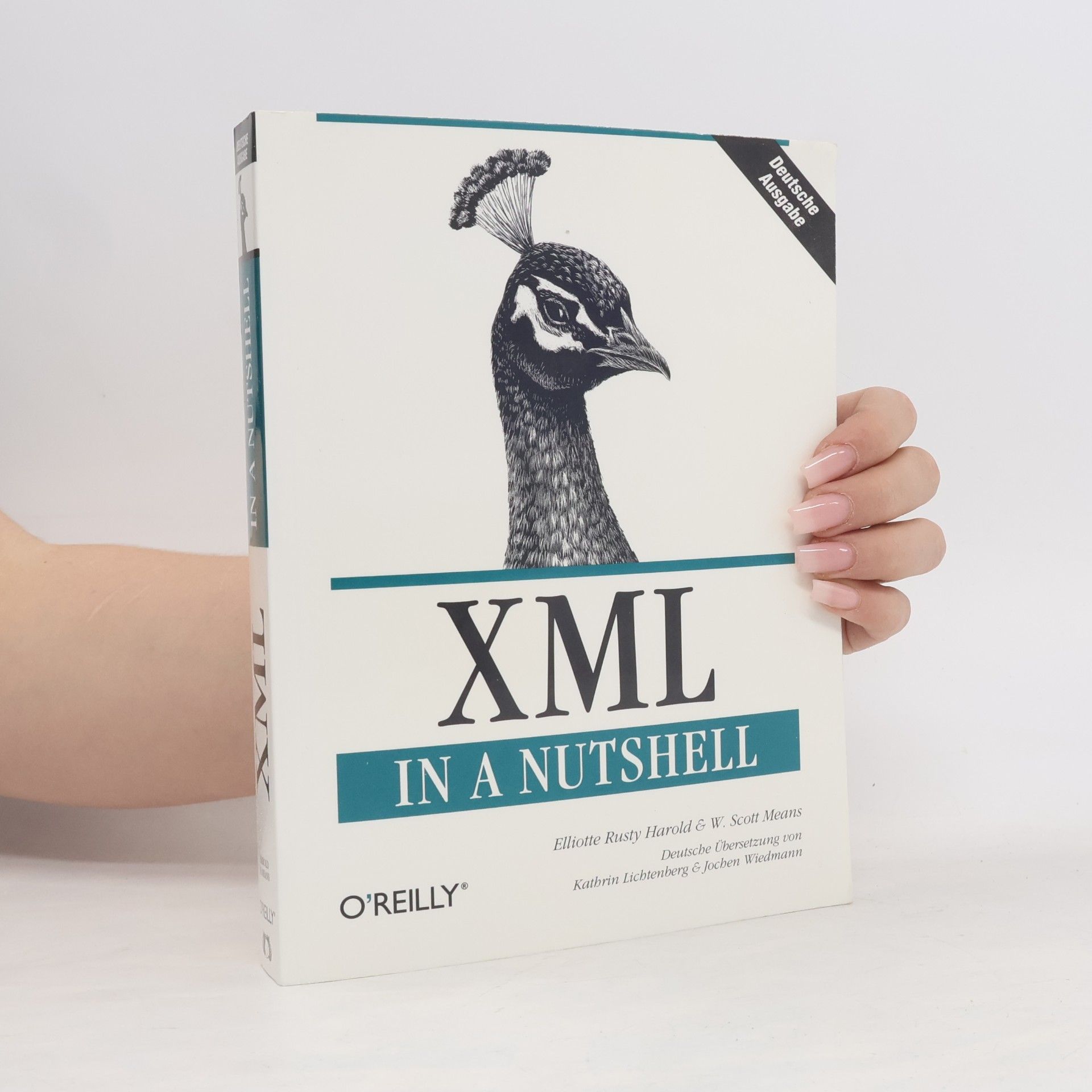 Jochen Wiedmann XML in a Nutshell