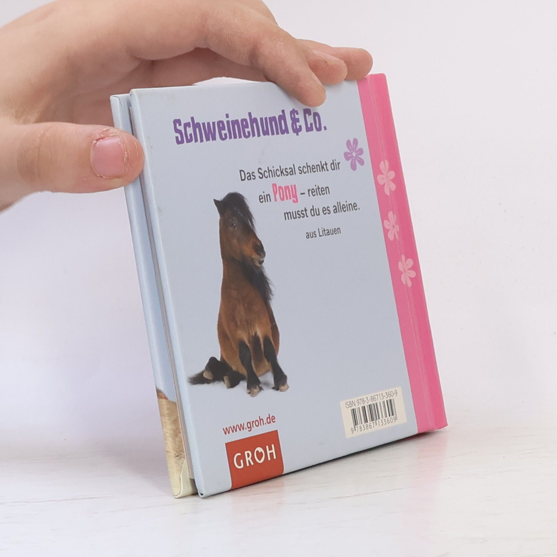 Klara Sophie Lechner Das Leben ist doch ein Ponyhof!