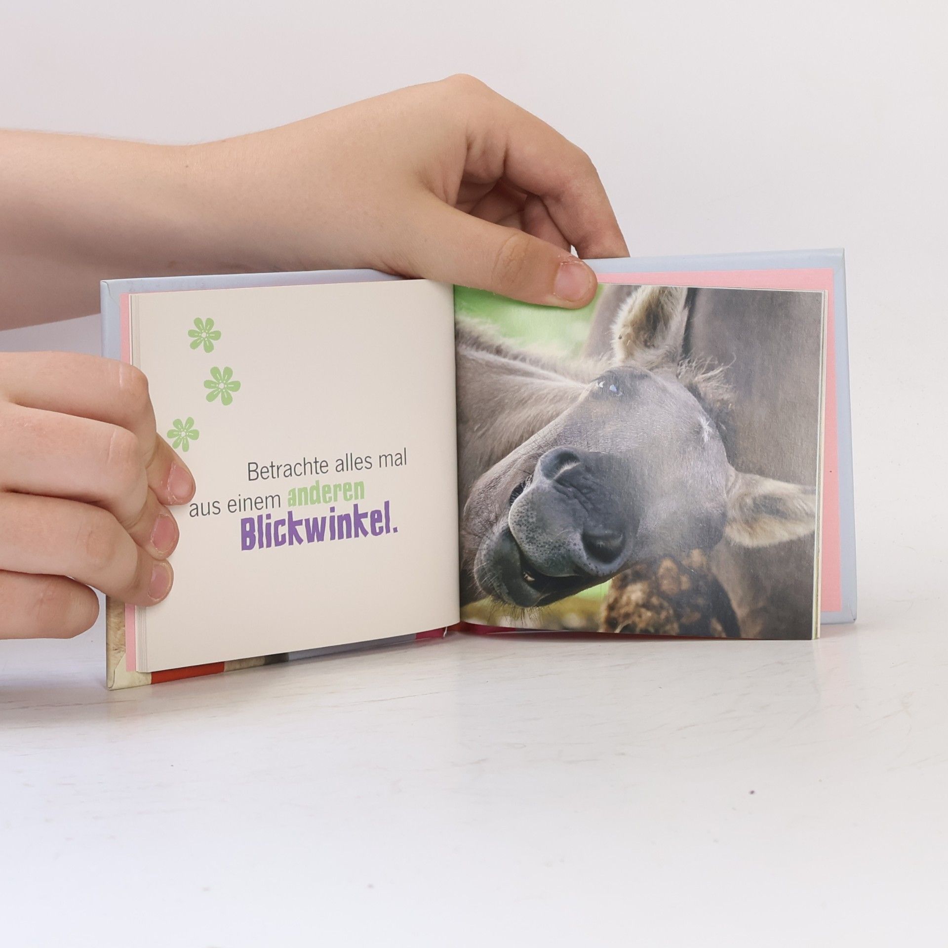 Klara Sophie Lechner Das Leben ist doch ein Ponyhof!