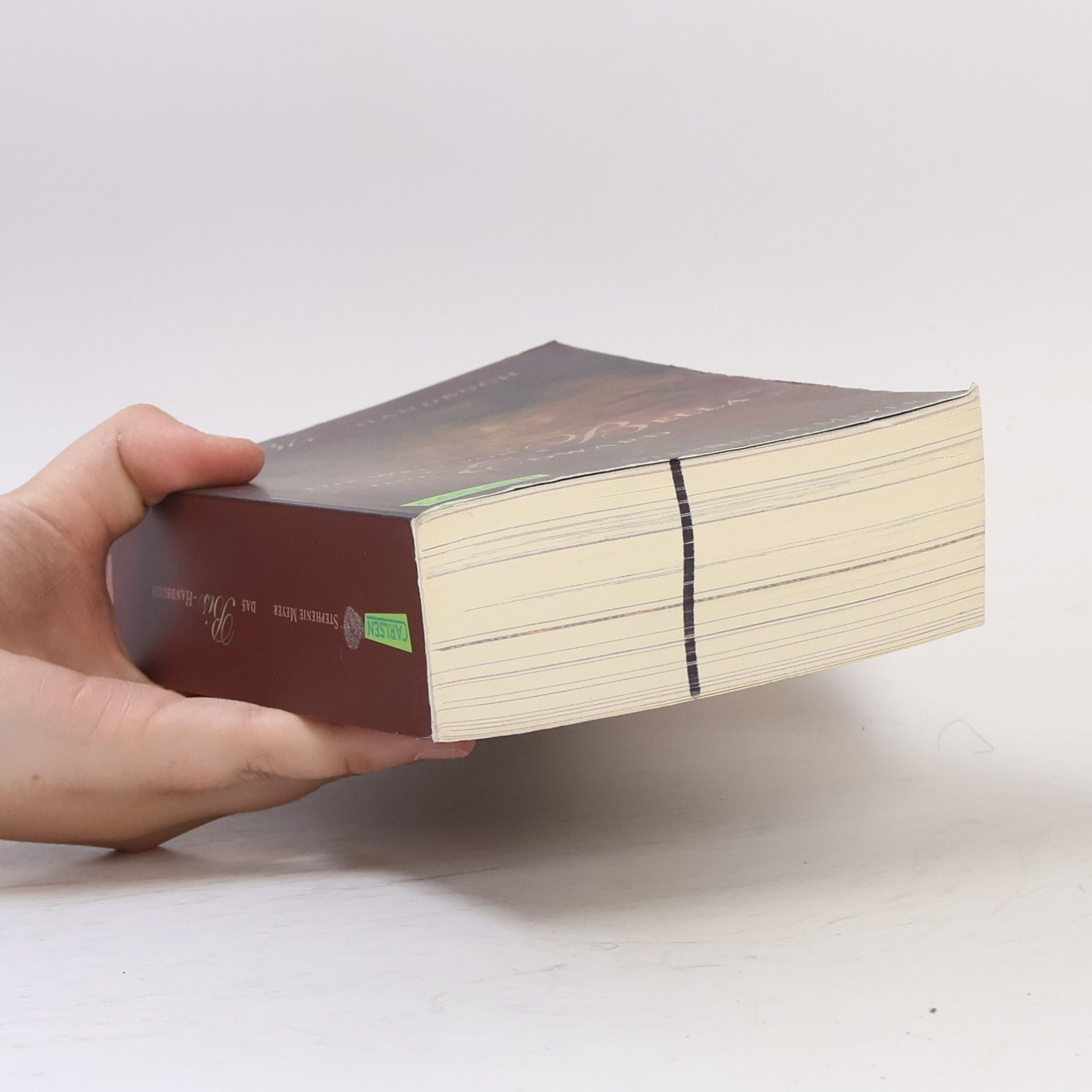 Stephenie Meyer Die Welt von Bella und Edward