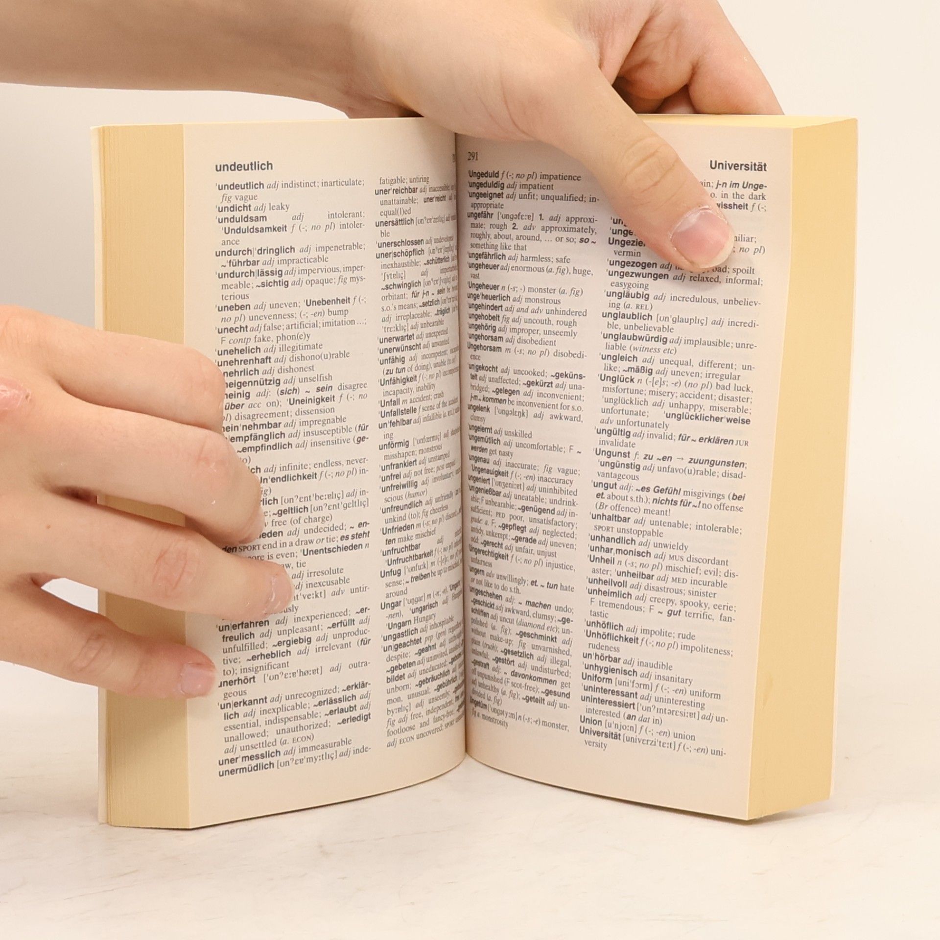 Langenscheidt's German-English English-German Dictionary
