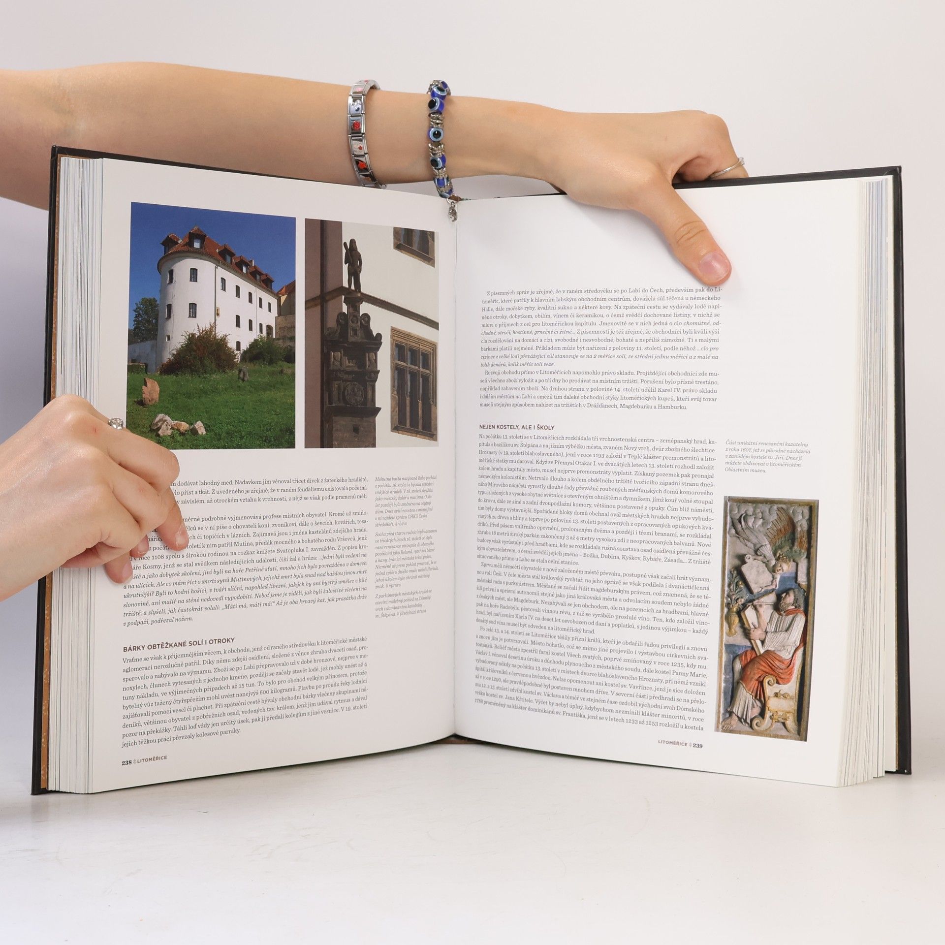 Various authors Historická města Čech a Moravy