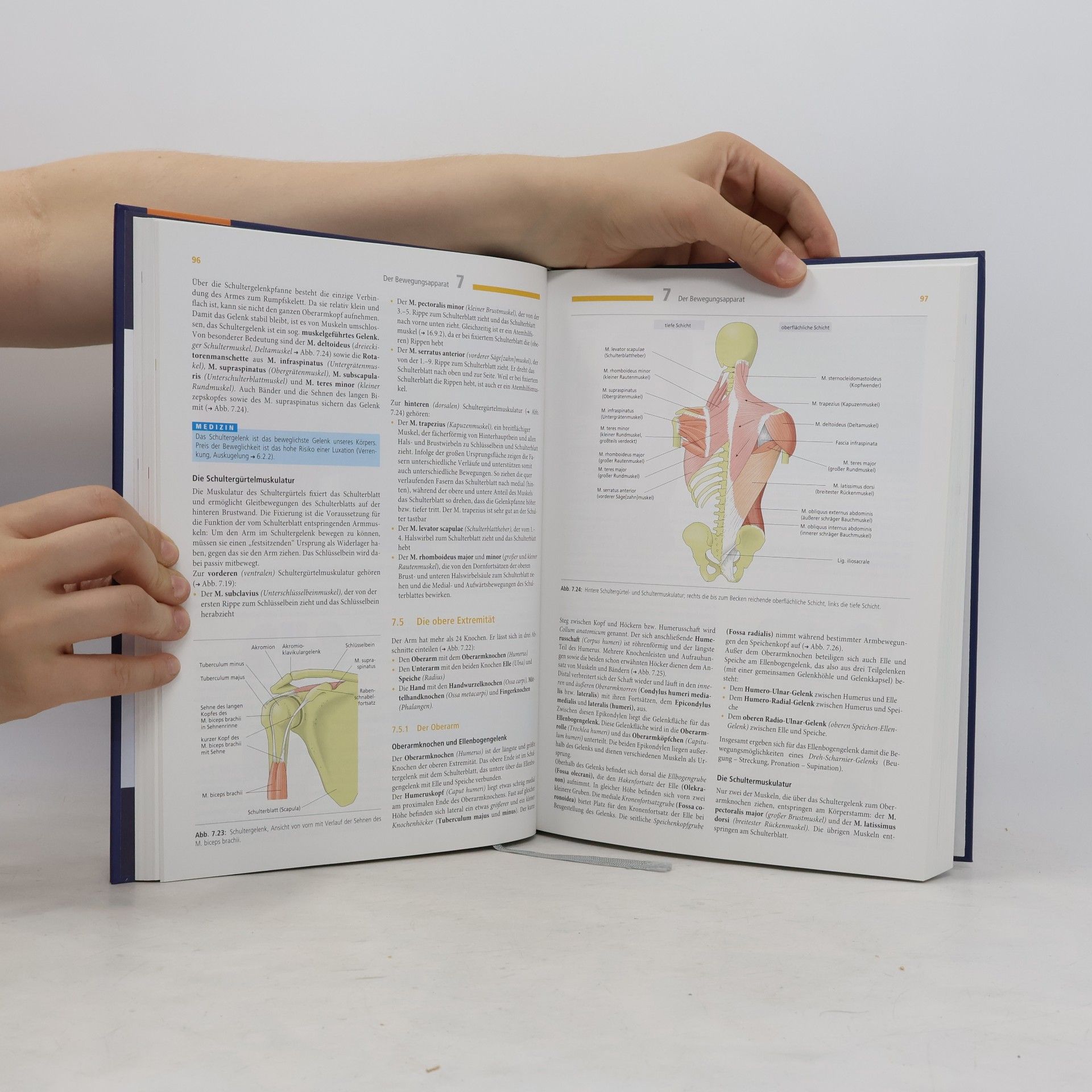 Nicole Menche Biologie, Anatomie, Physiologie