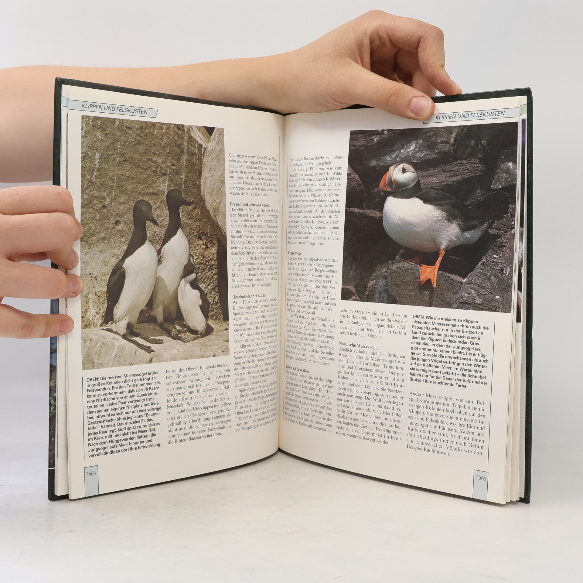 Various authors Lebendiges Tierreich. Band 60