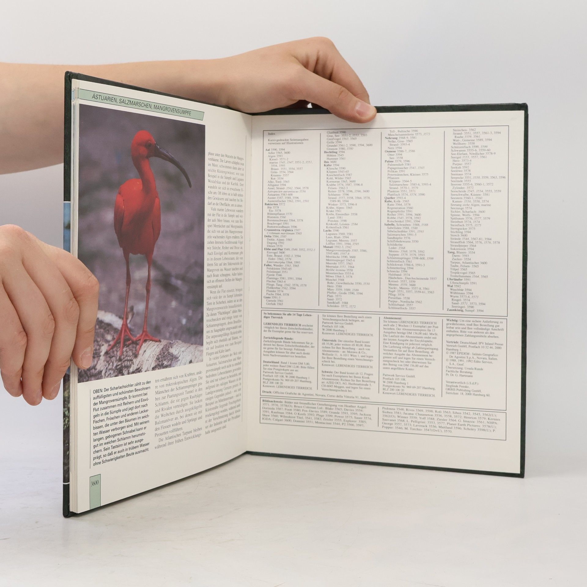 Various authors Lebendiges Tierreich. Band 60