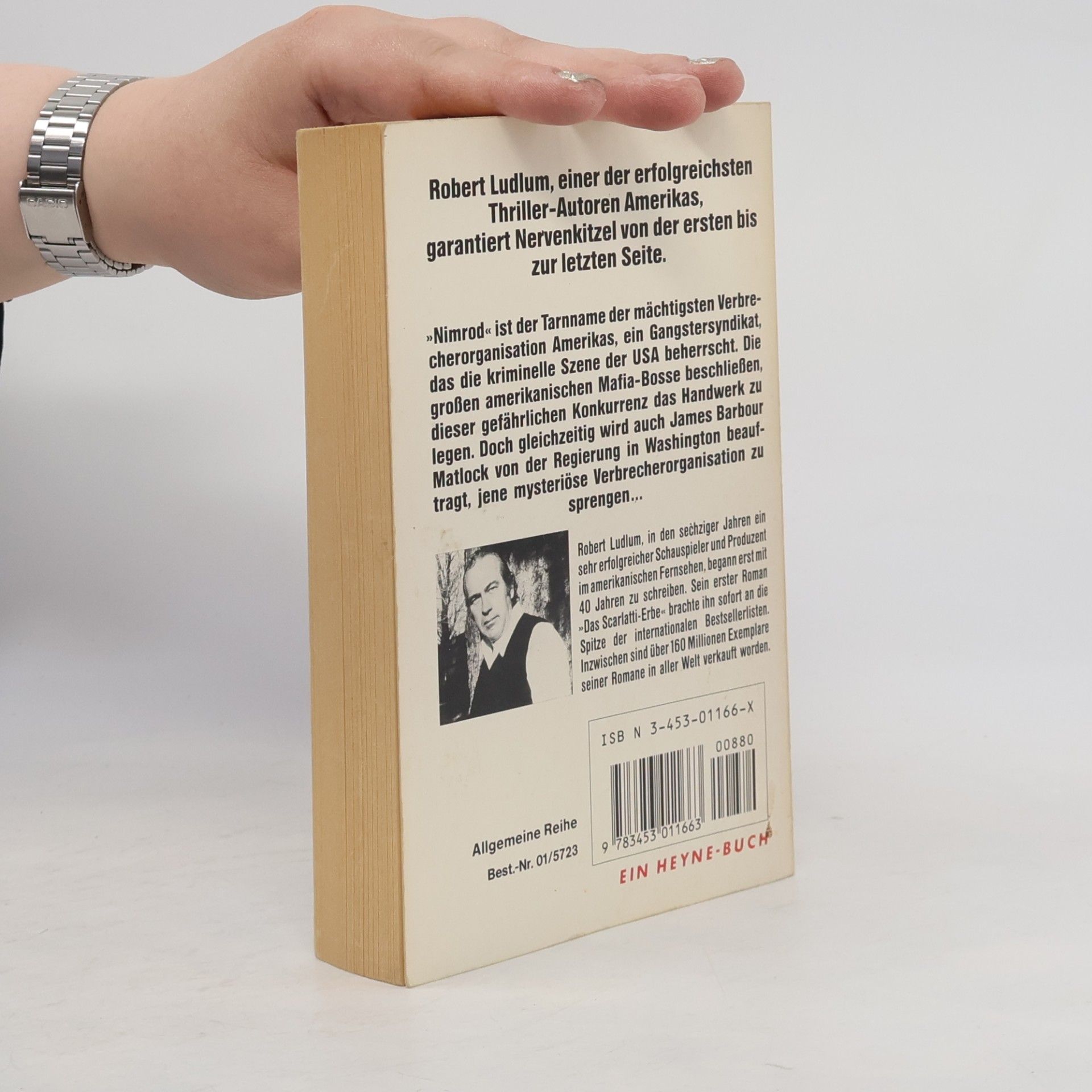 Robert Ludlum Die Matlock-Affäre