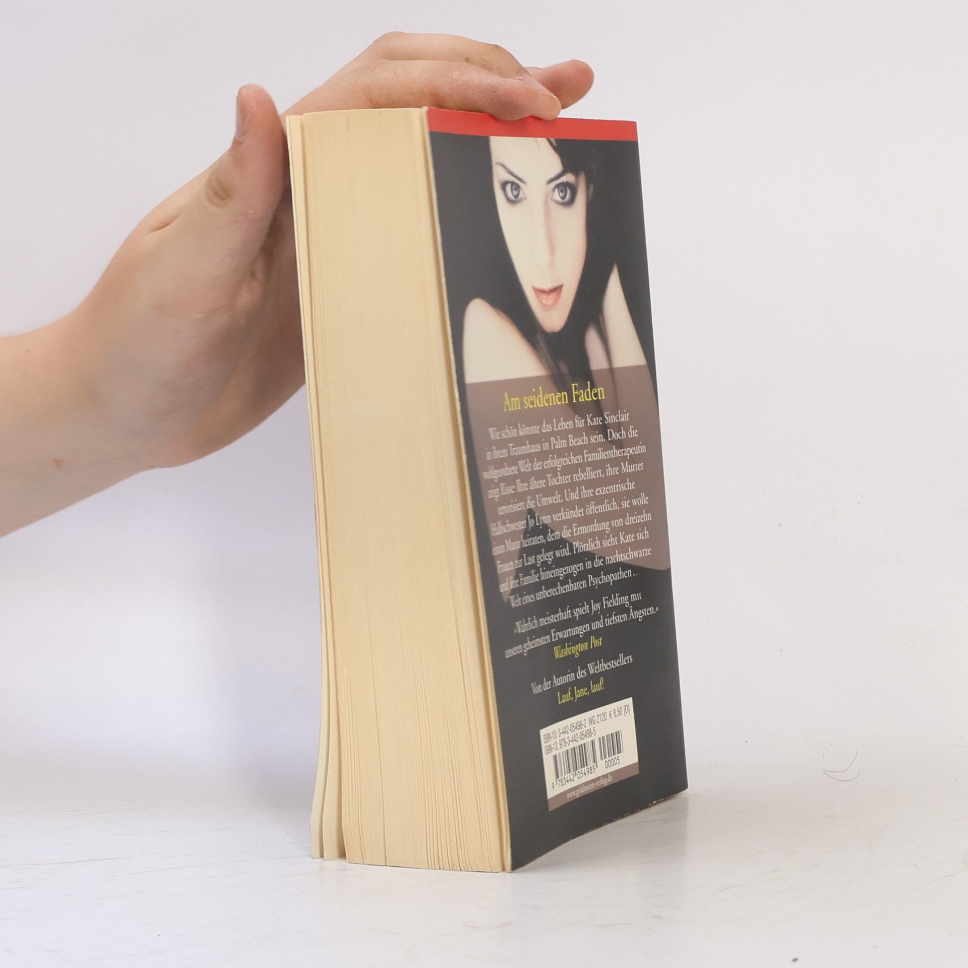 Joy Fielding Am seidenen Faden