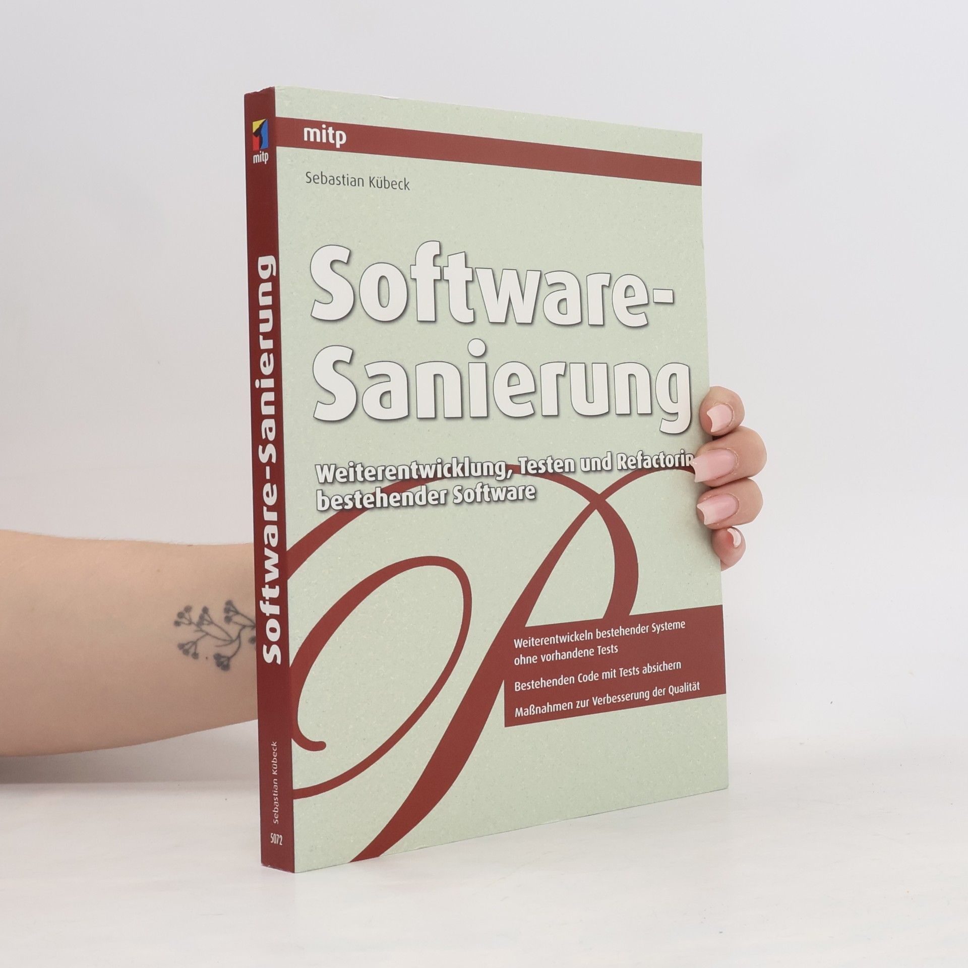 Sebastian Kübeck Software-Sanierung