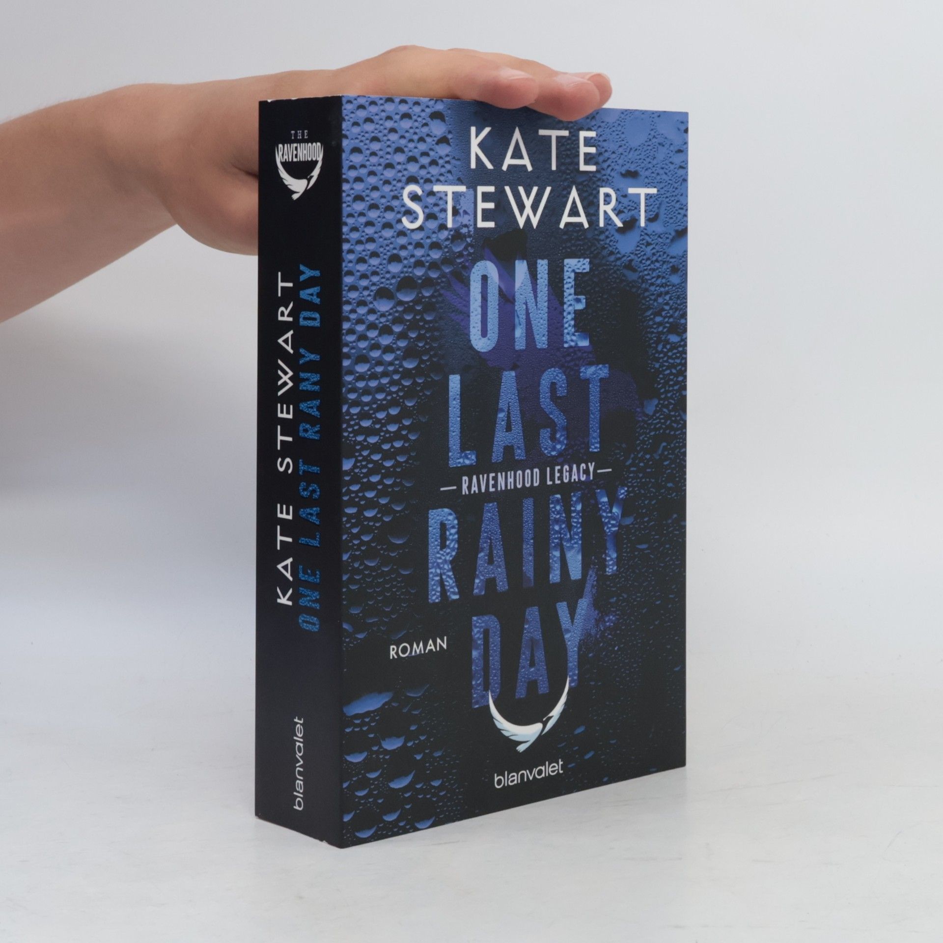 Kate Stewart One Last Rainy Day