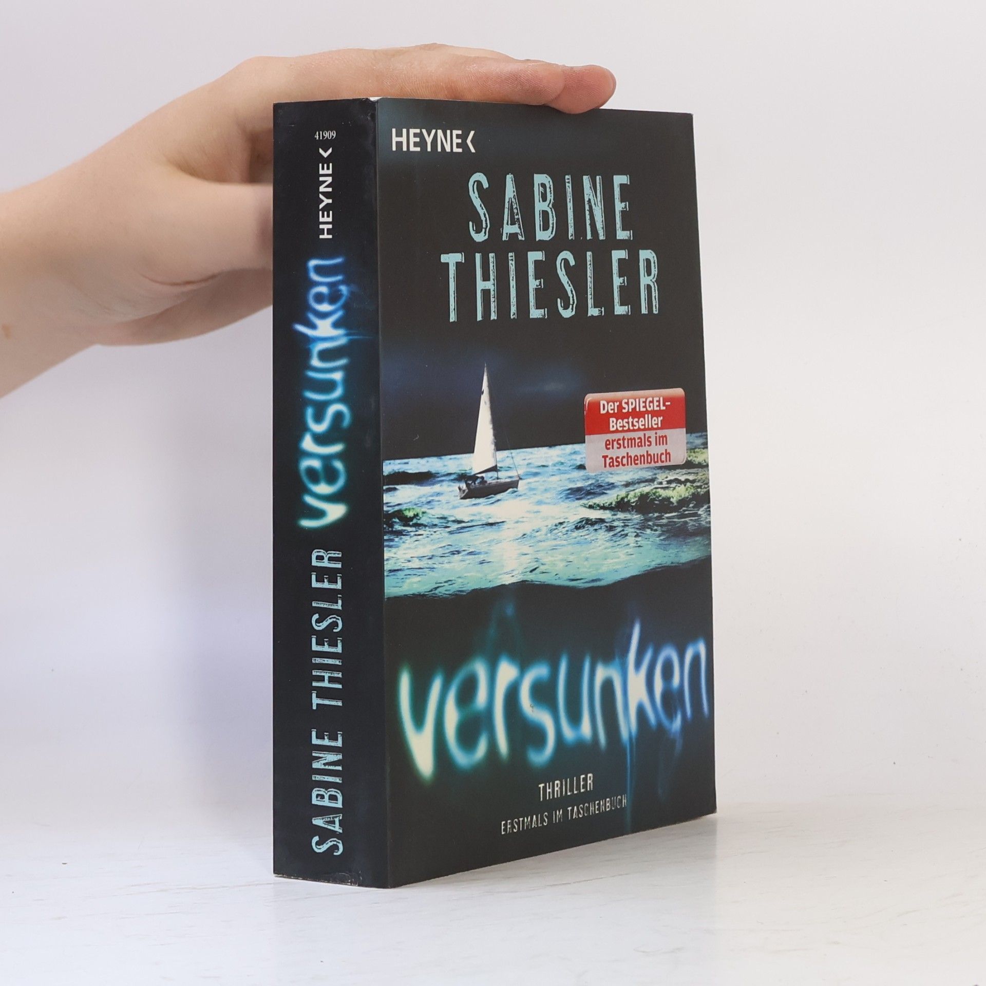 Sabine Thiesler Versunken