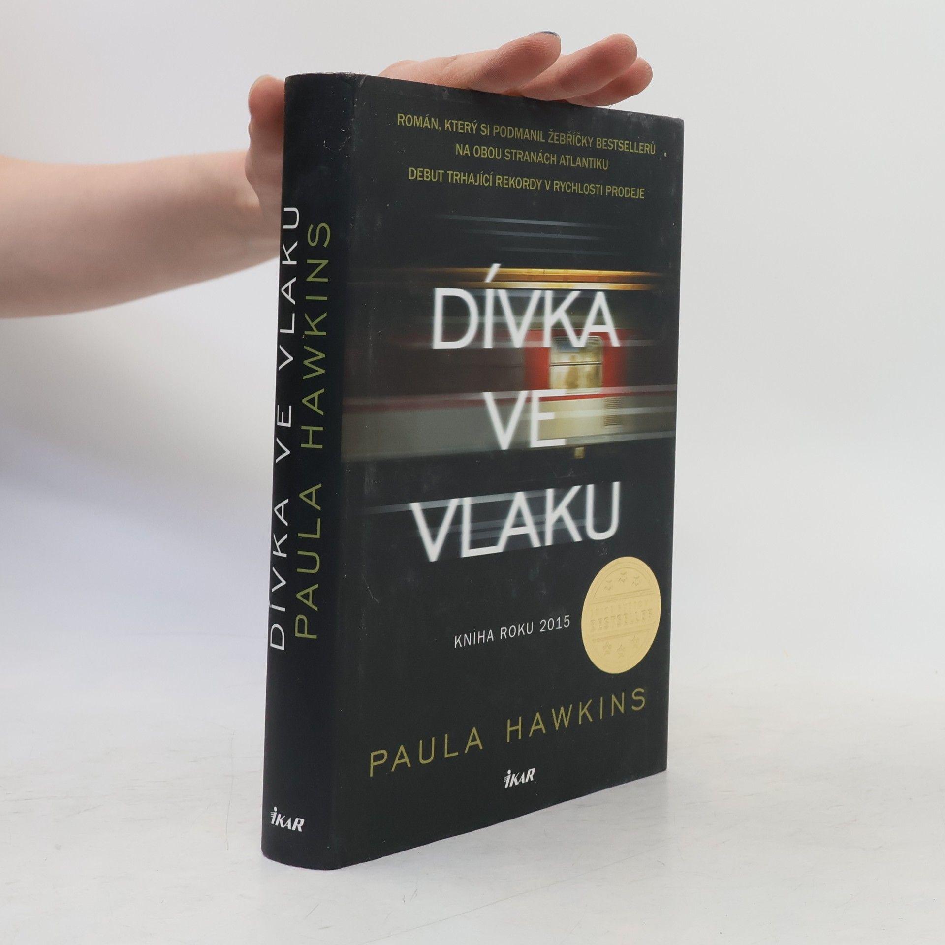 Dívka ve vlaku