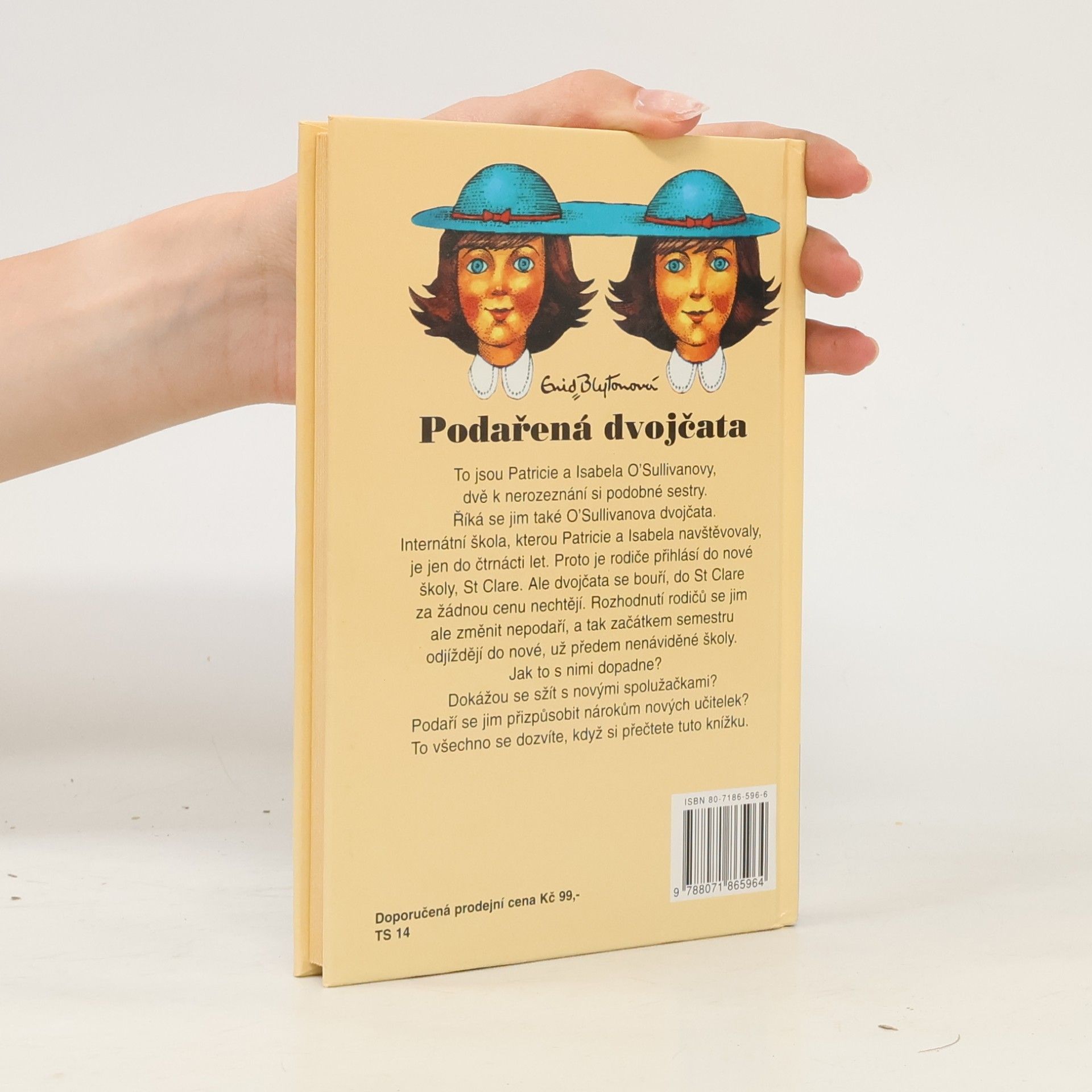 Enid Blyton Podařená dvojčata