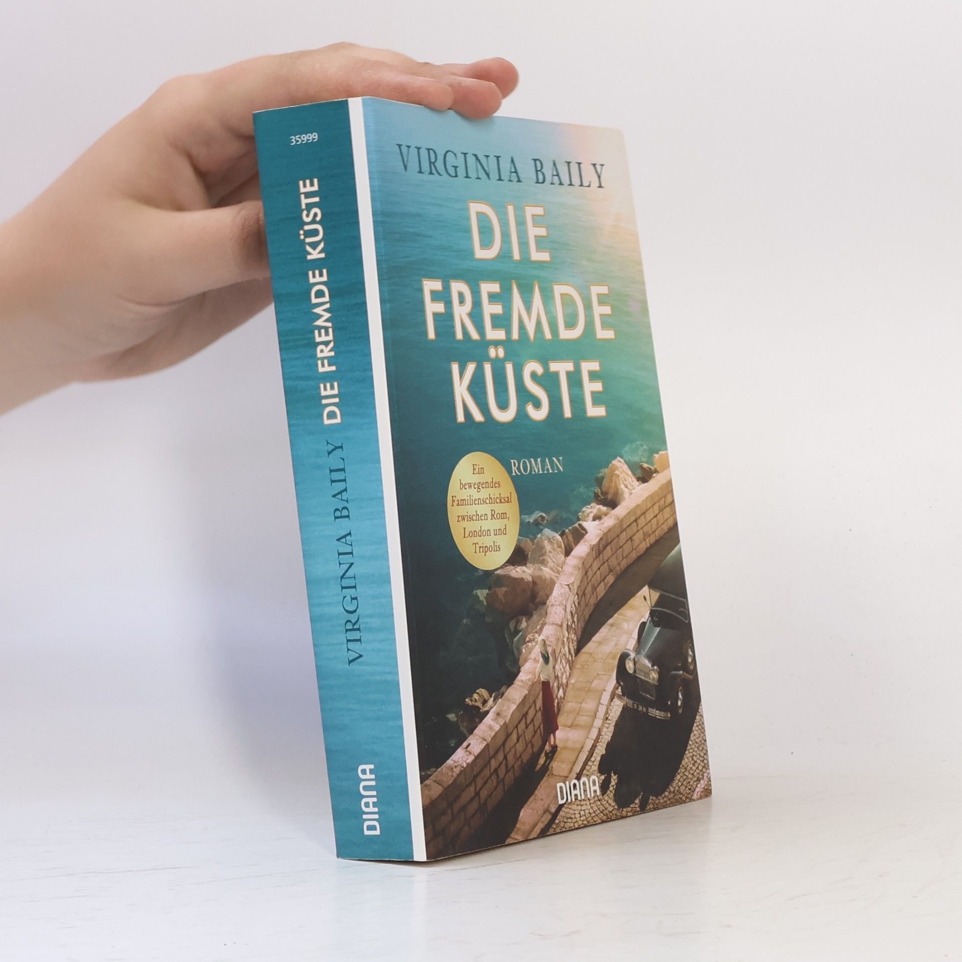 Virginia Baily Die fremde Küste