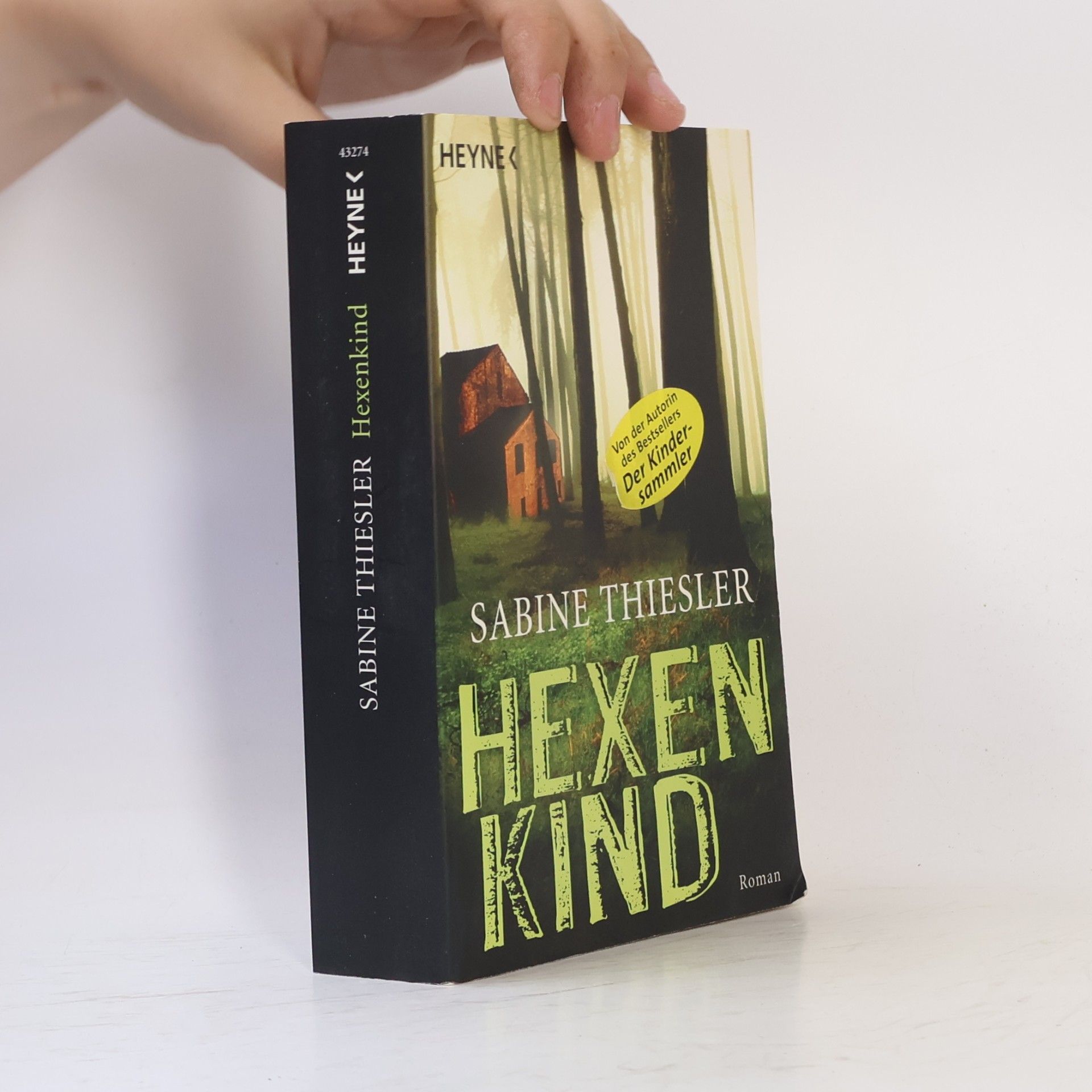 Sabine Thiesler Hexenkind - Roman