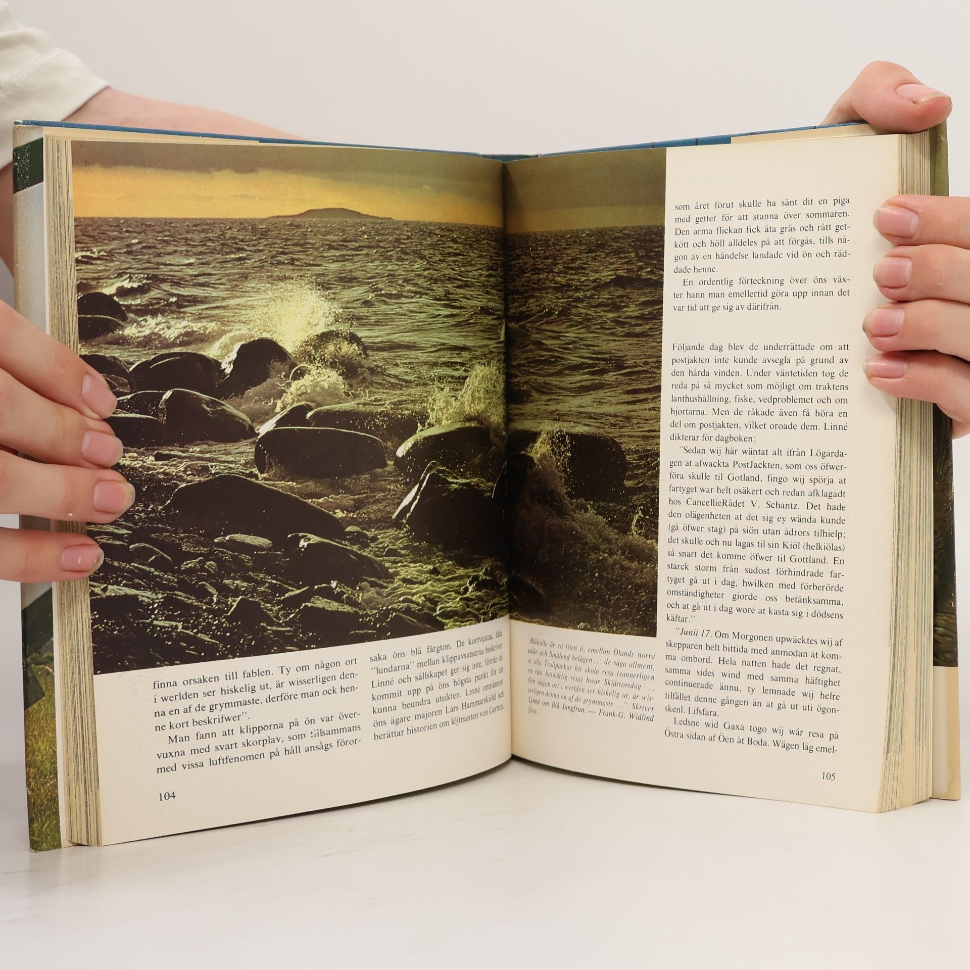 Autores varios Öland