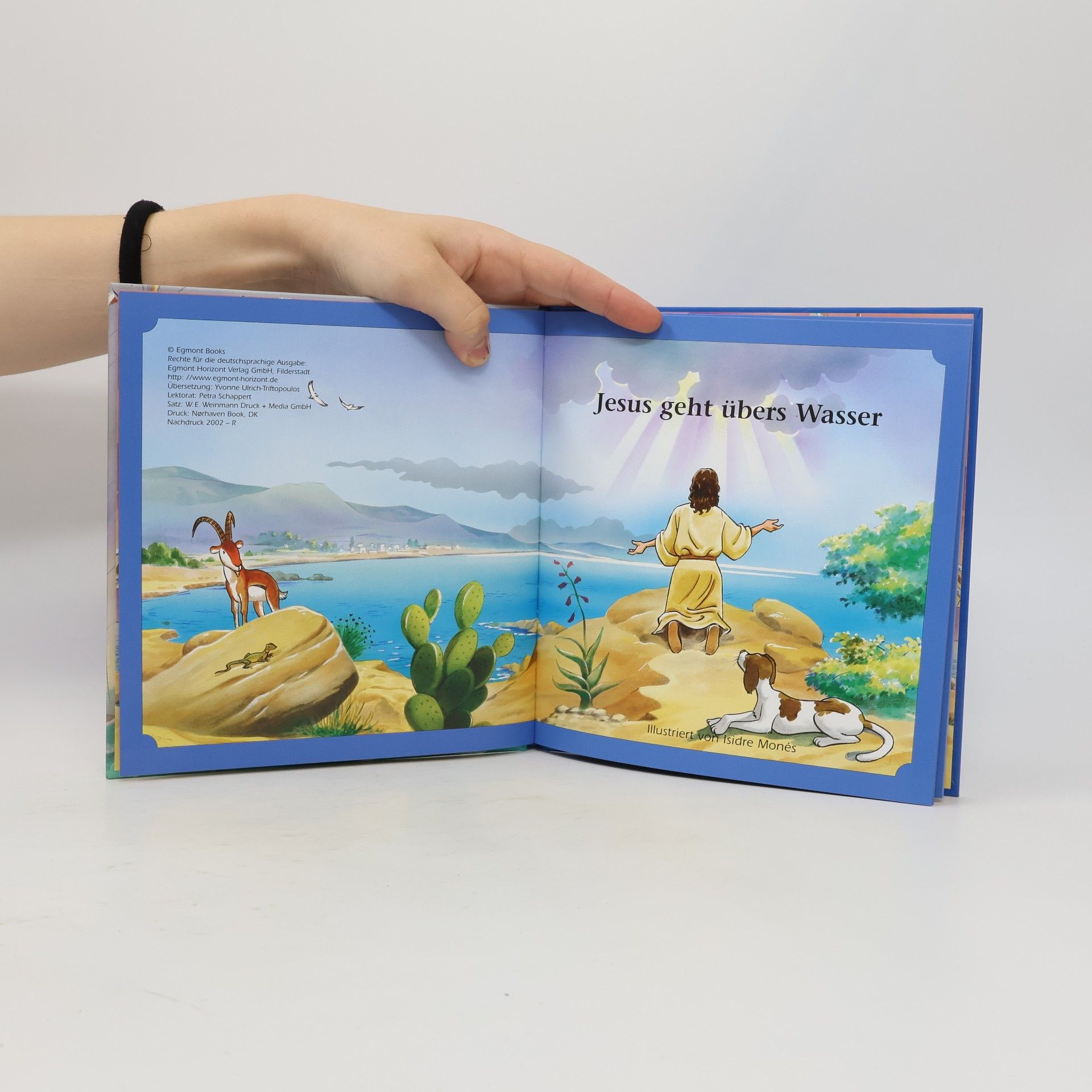Autorenkollektiv Jesus geht übers Wasser