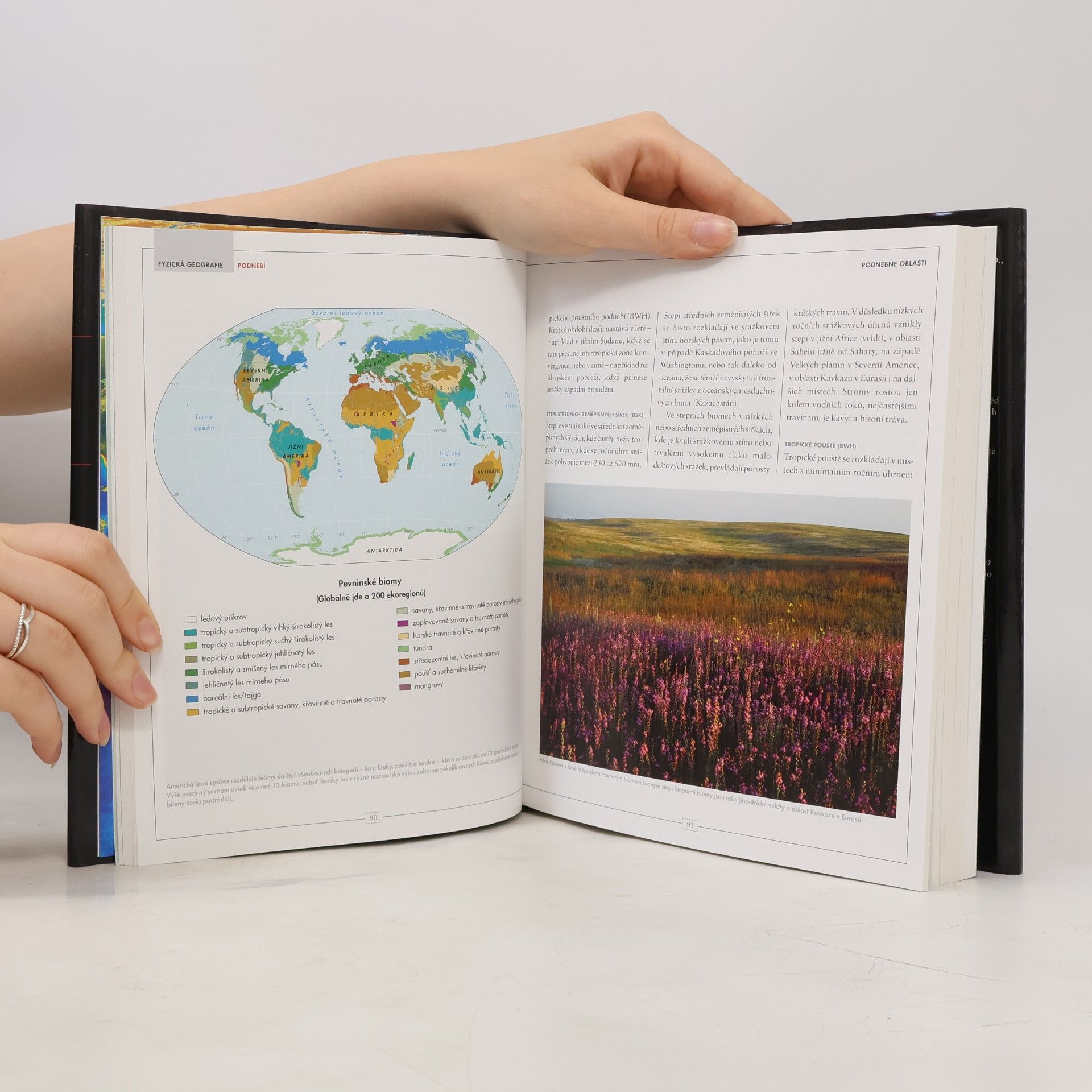 Roger M. Downs Almanach geografie
