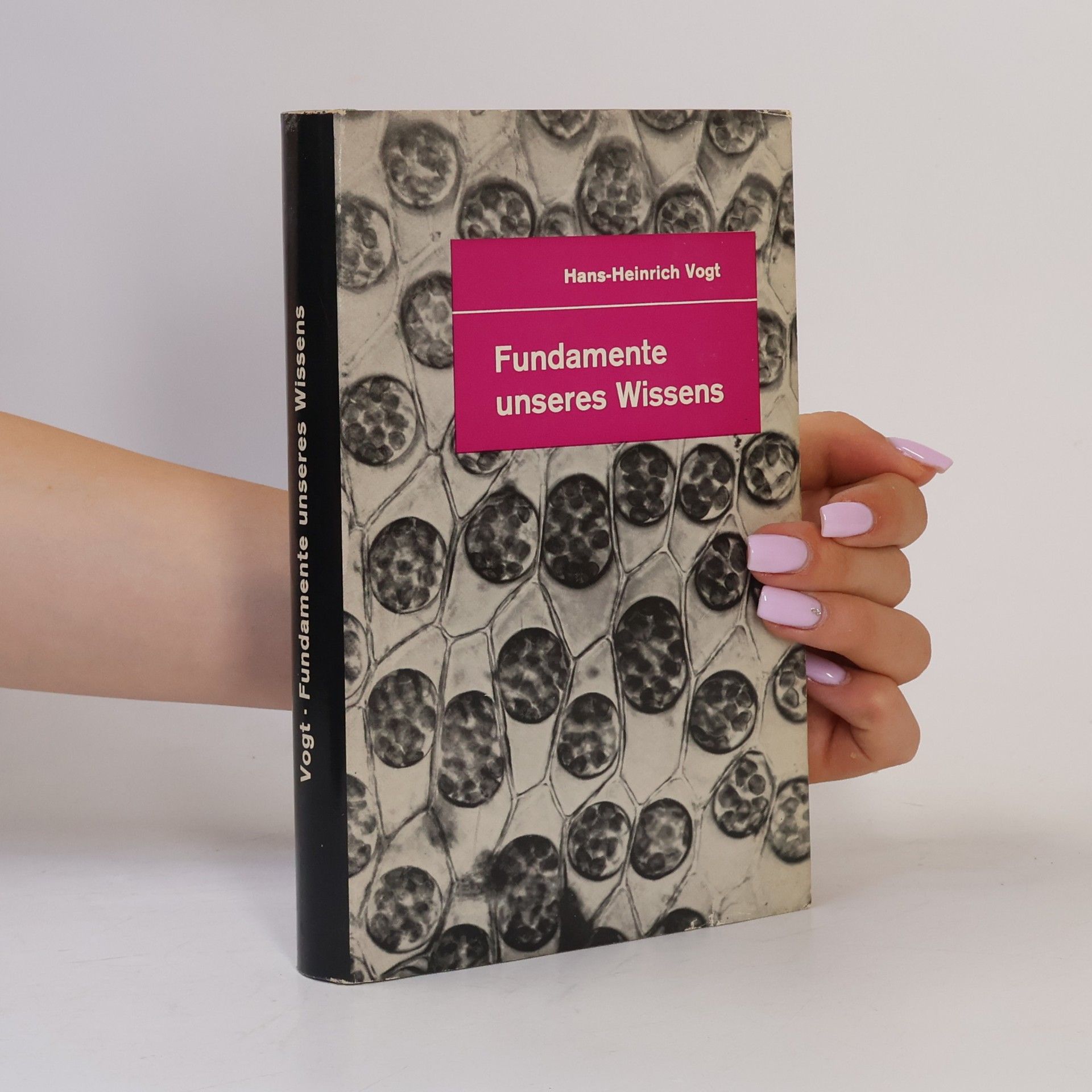 Hans Heinrich Vogt Fundamente unseres Wissens