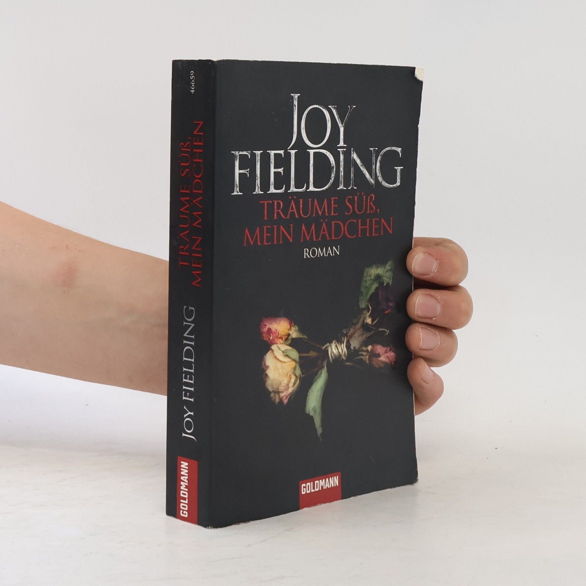 Joy Fielding Träume süss, mein Mädchen