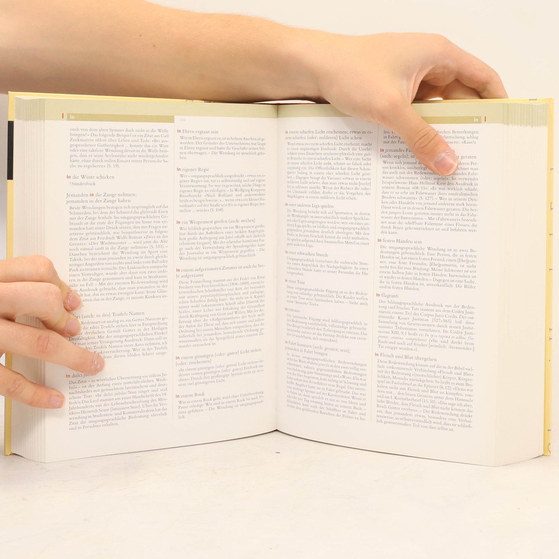 Brigitte Alsleben Duden, Das große Buch der Zitate und Redewendungen