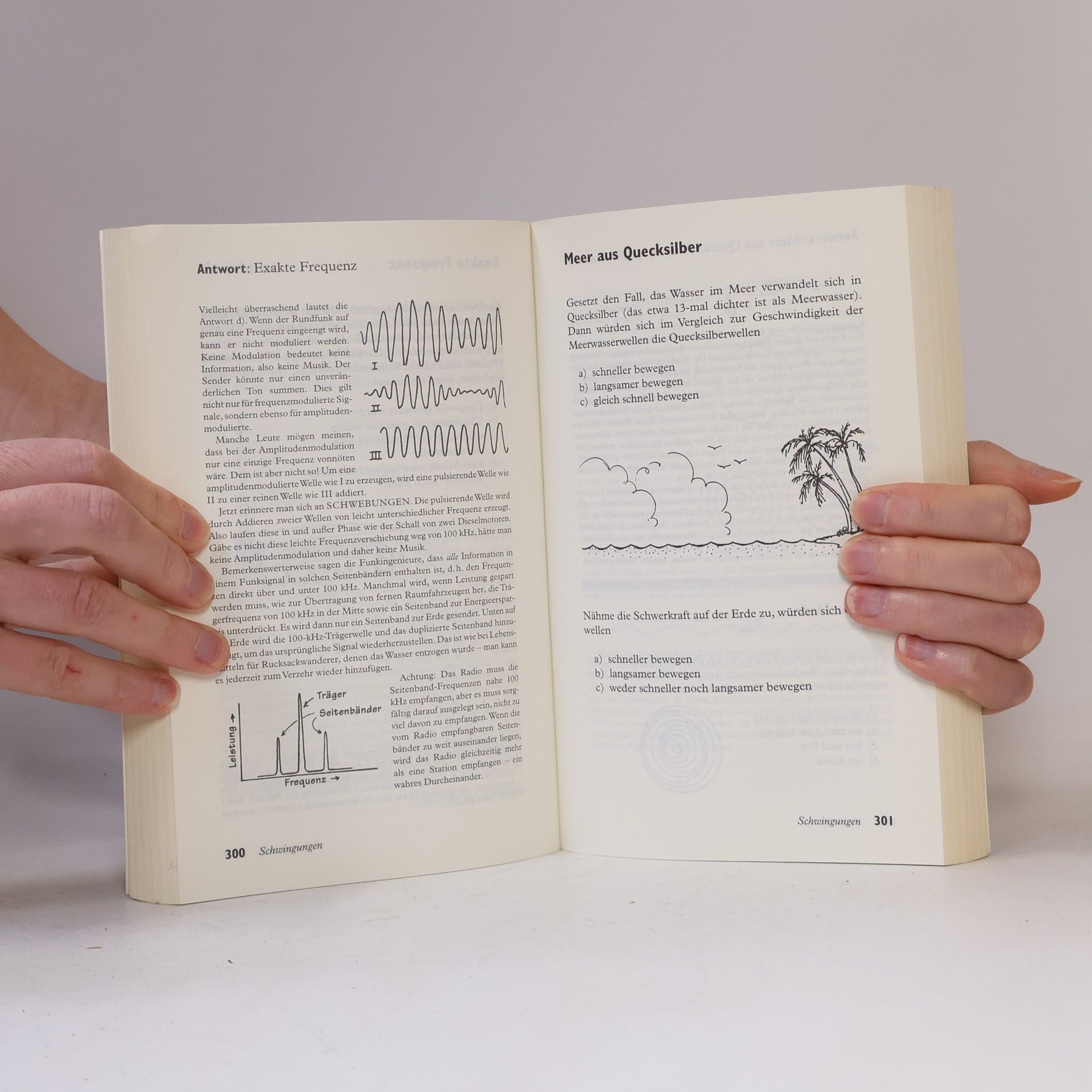 Lewis C. Epstein Denksport-Physik