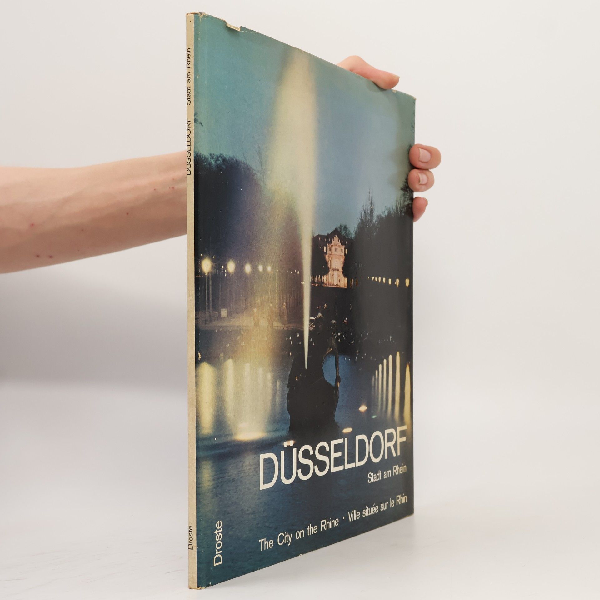 Autorenkollektiv Düsseldorf: Stadt am Rhein