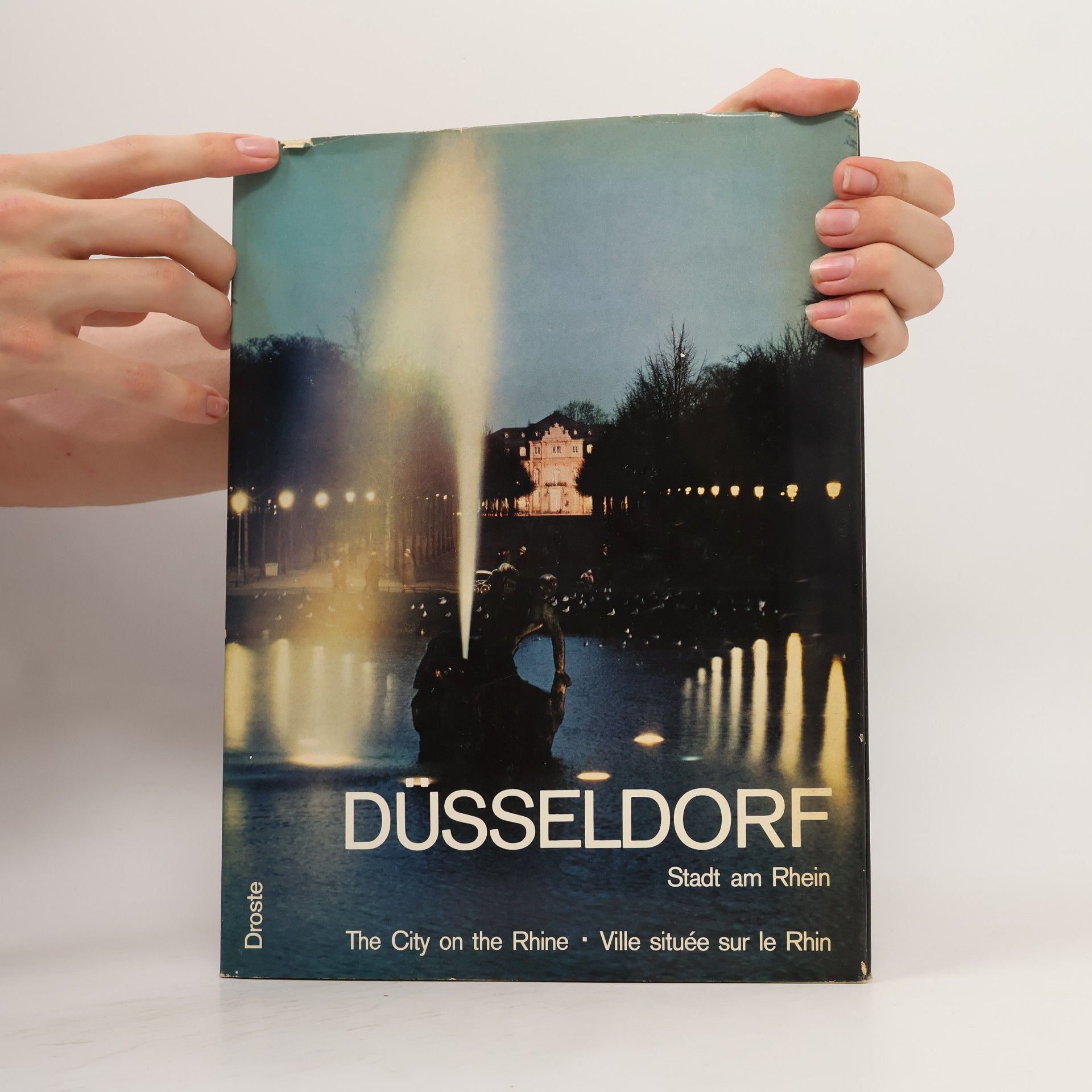 Autorenkollektiv Düsseldorf: Stadt am Rhein