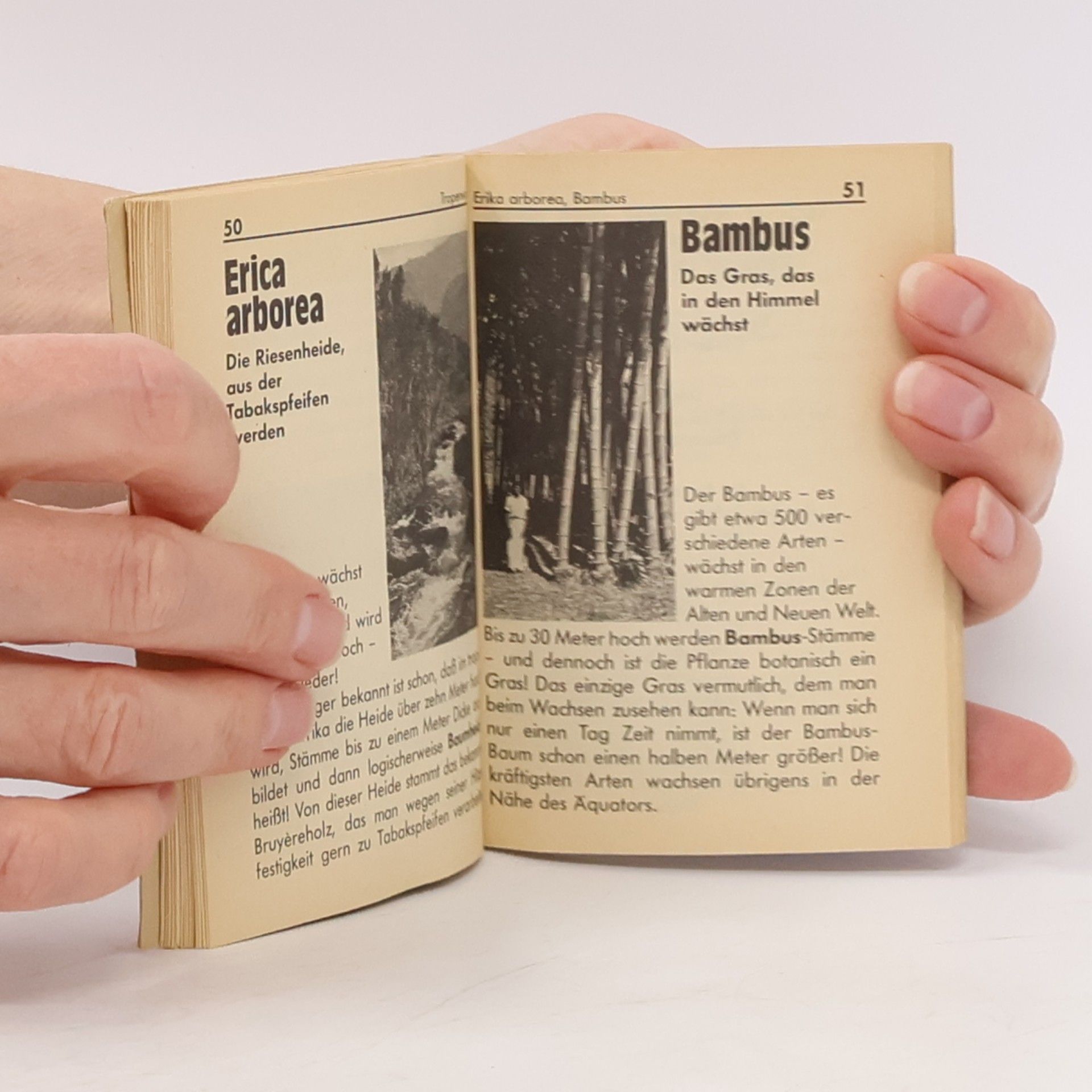Collectif d'auteurs Wunder der Natur