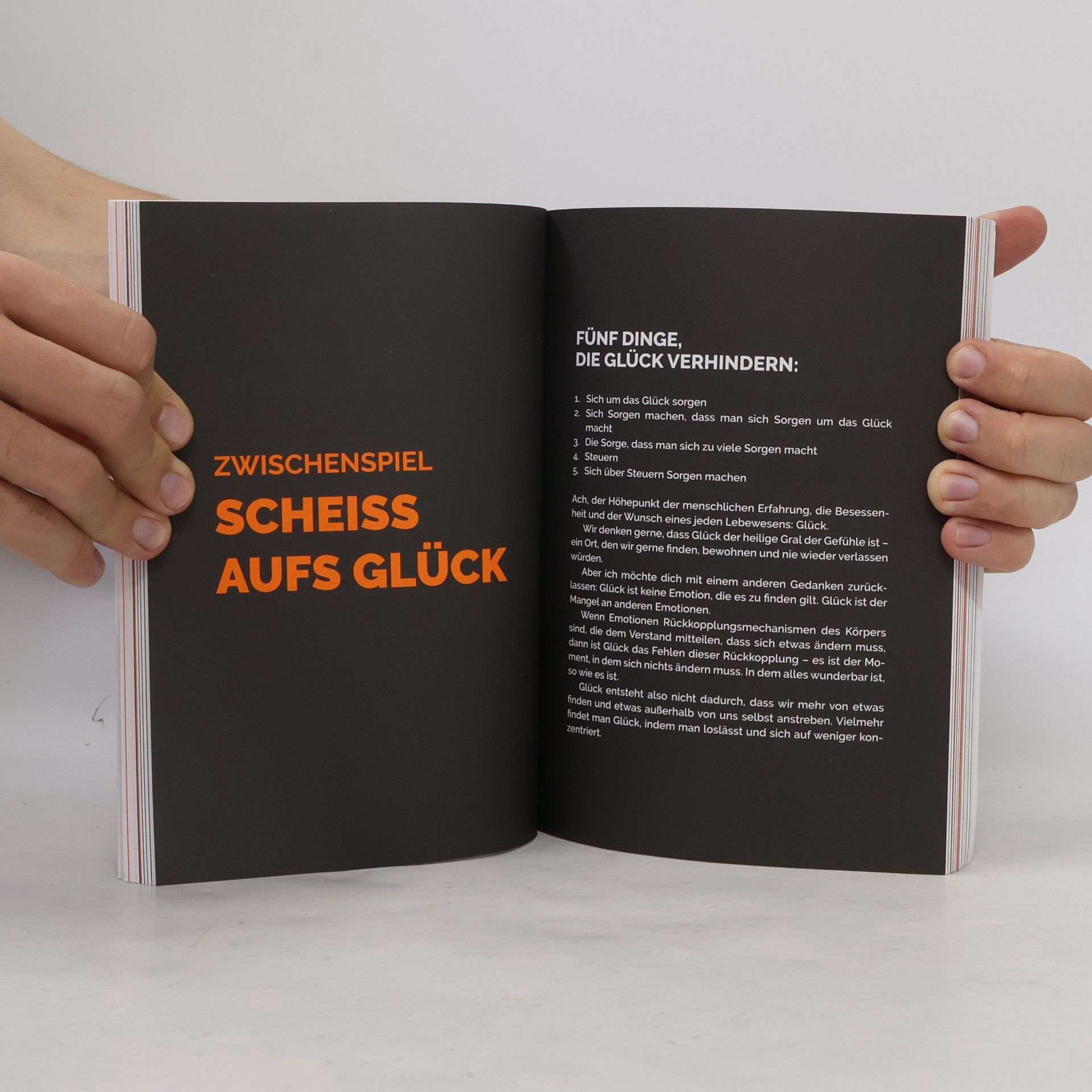 Mark Manson Die subtile Kunst des Daraufscheißens: Das Journal