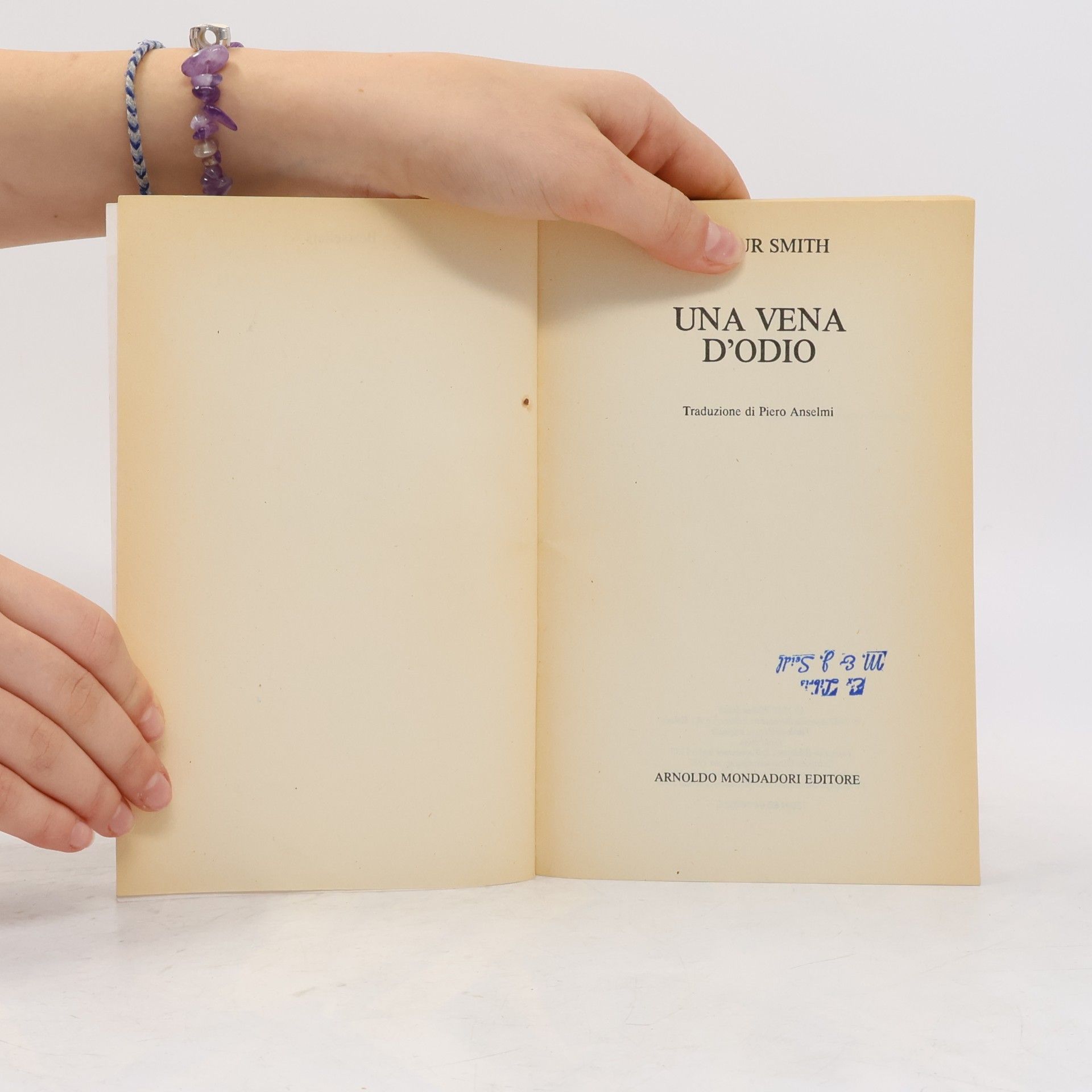 Wilbur A. Smith Bestsellers - 70: Una vena d'odio
