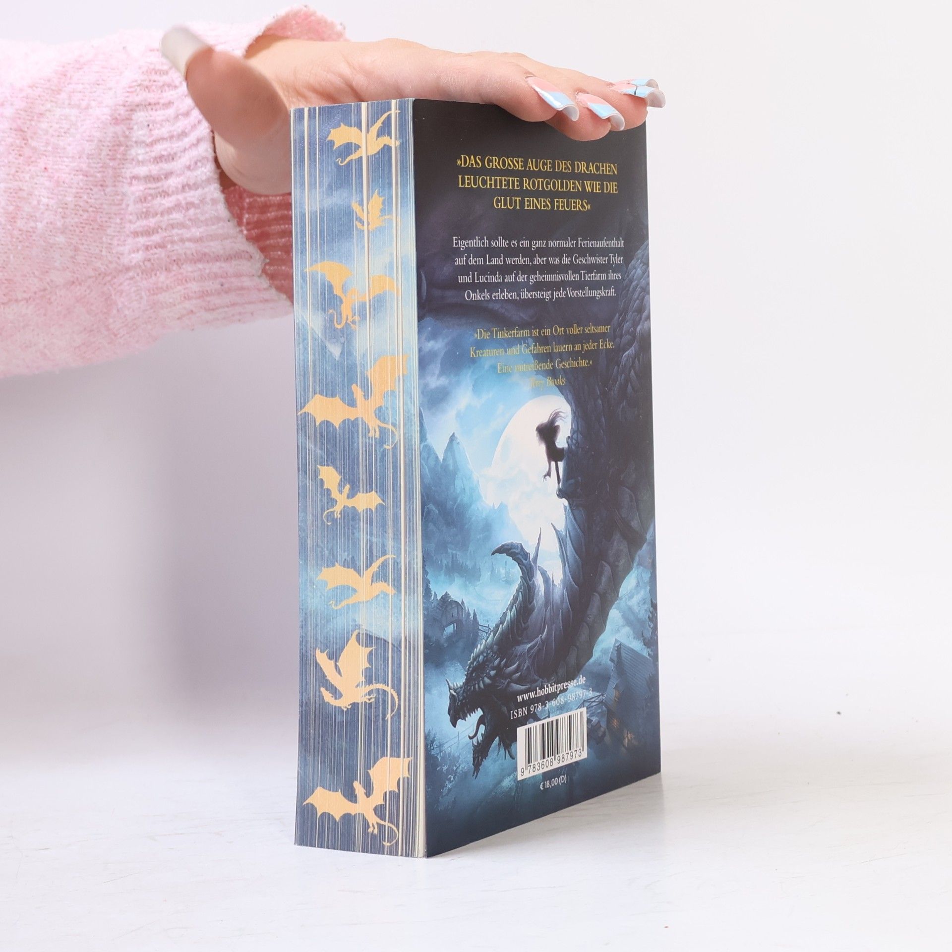 Tad Williams Die Drachen der Tinkerfarm