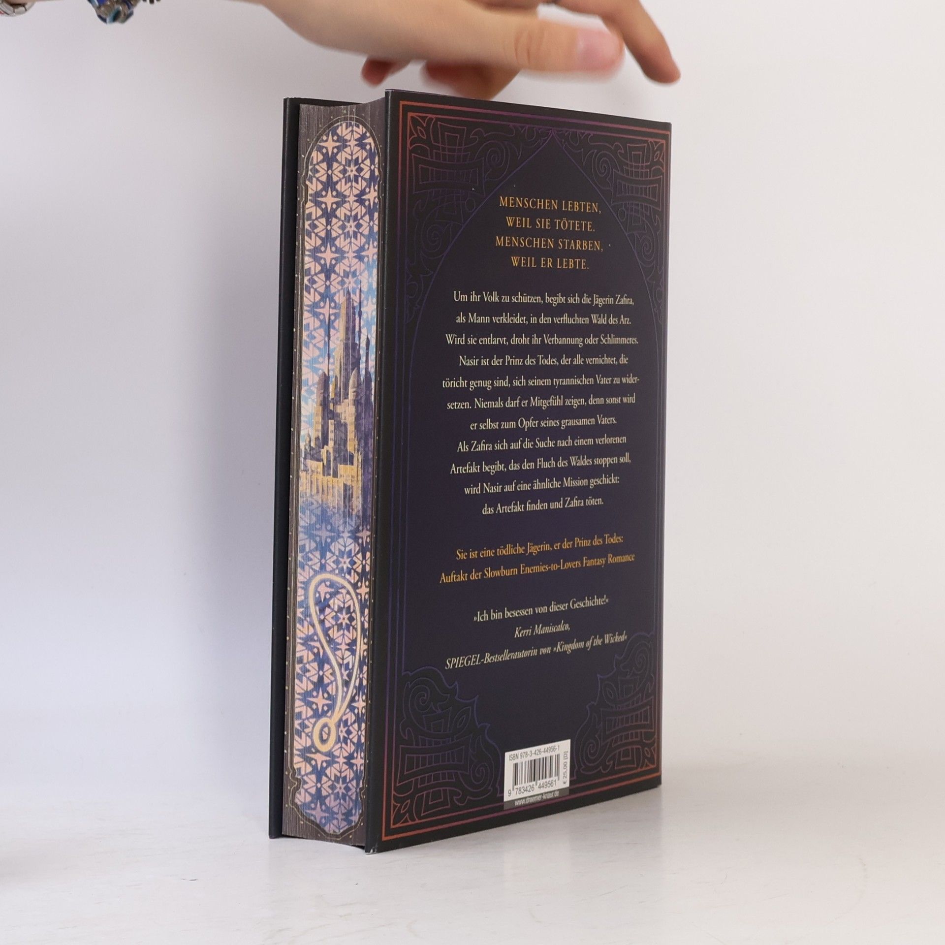 Hafsah Faizal We hunt the Flame / Die Reiche von Arawiya Bd.1