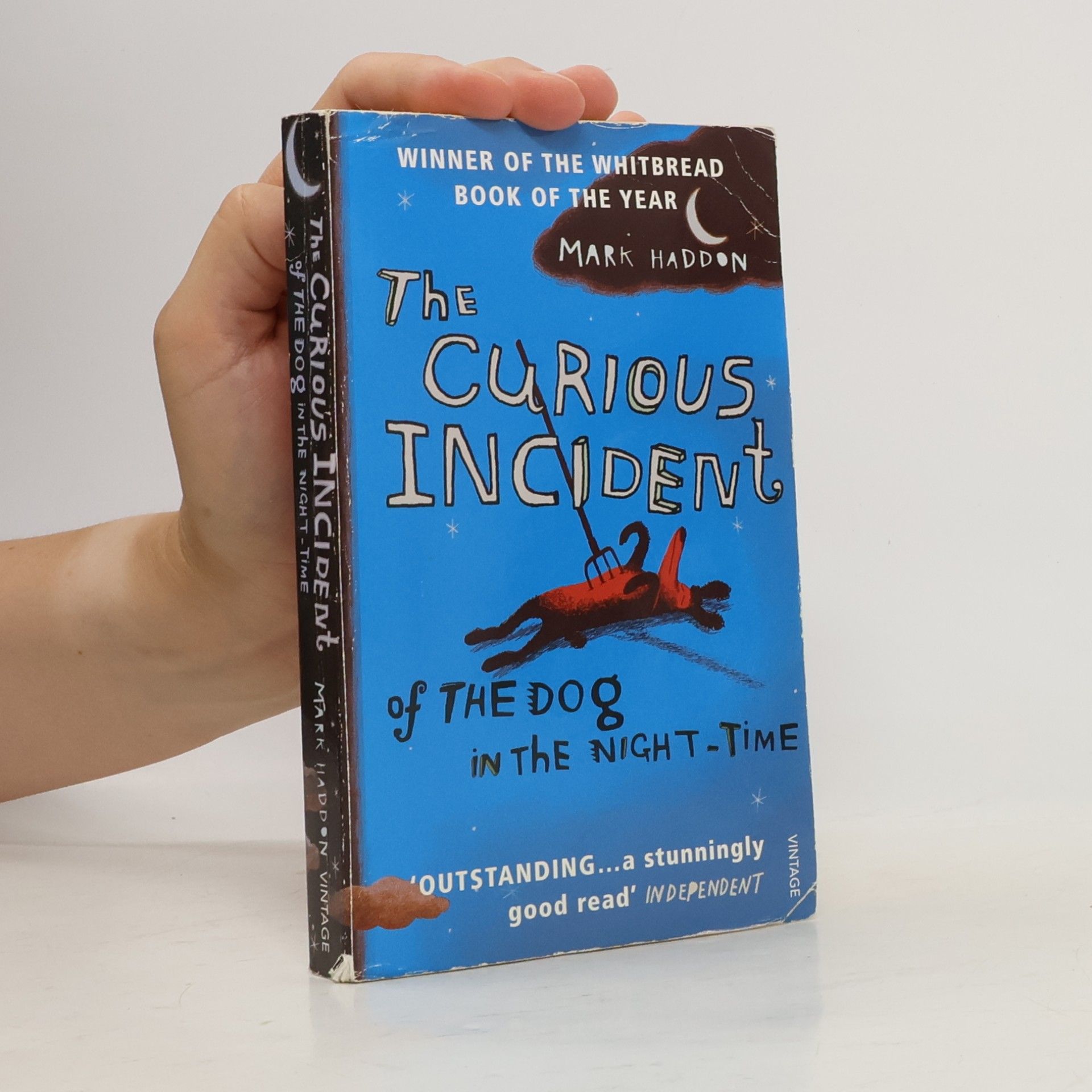 Mark Haddon The Curious Incident of The Dog in The Night-Time
