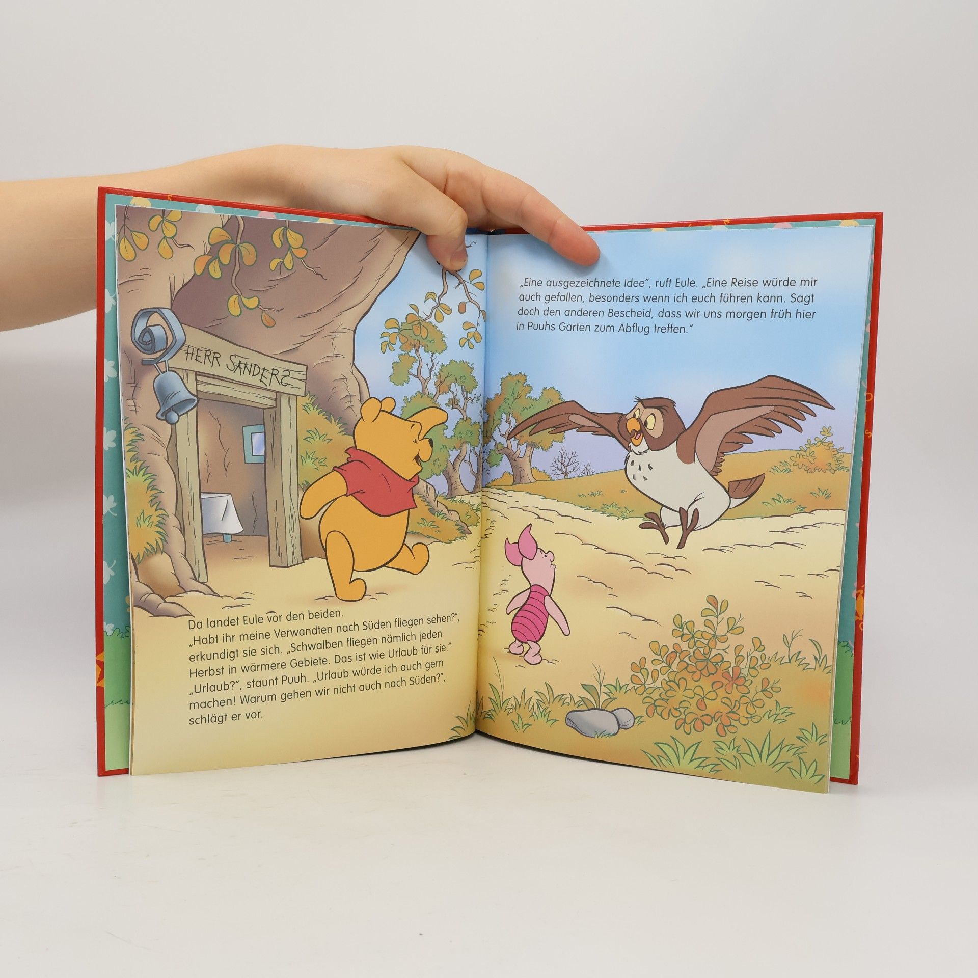 Collectif d'auteurs Winnie Puuh. Die Reisen in den Süden