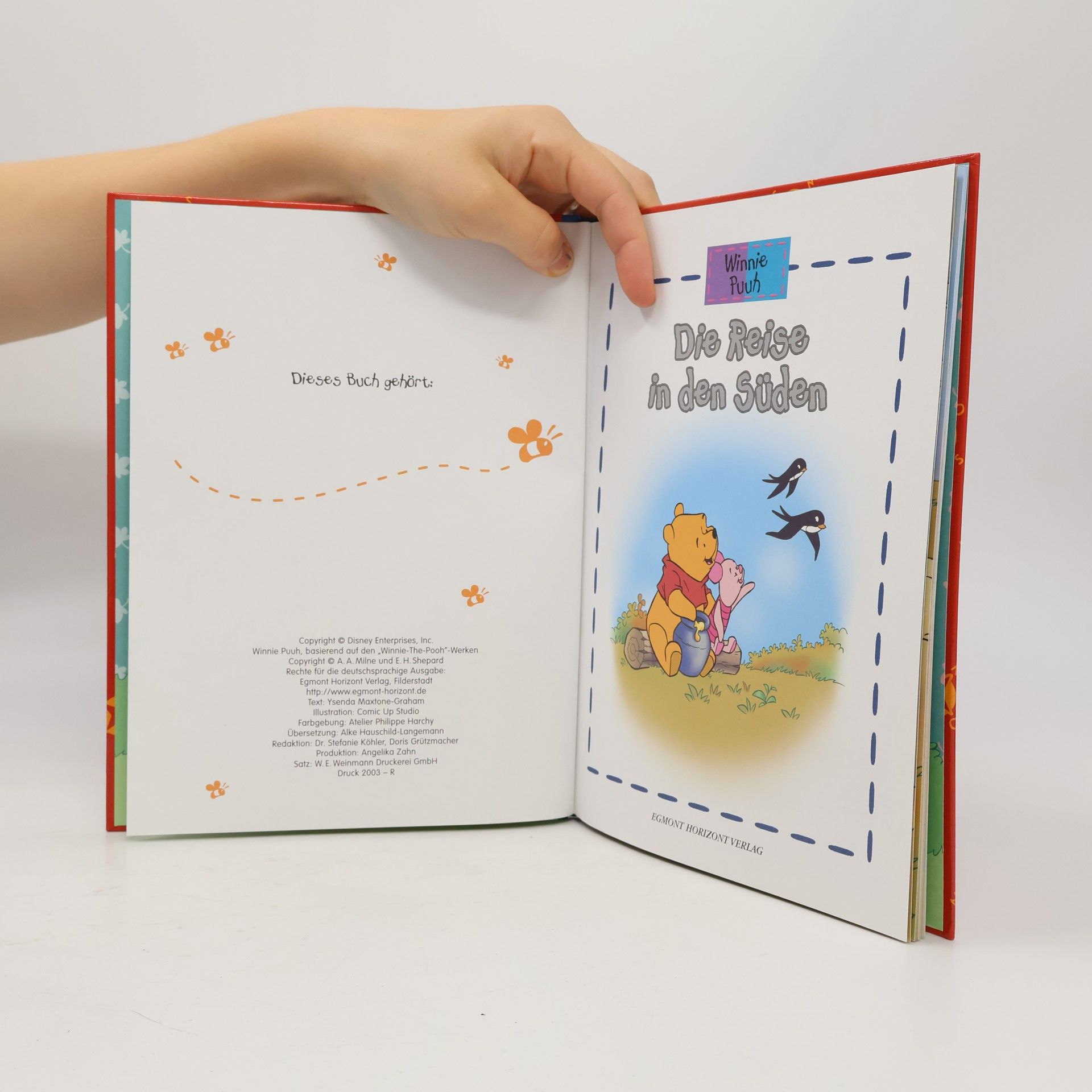 Collectif d'auteurs Winnie Puuh. Die Reisen in den Süden