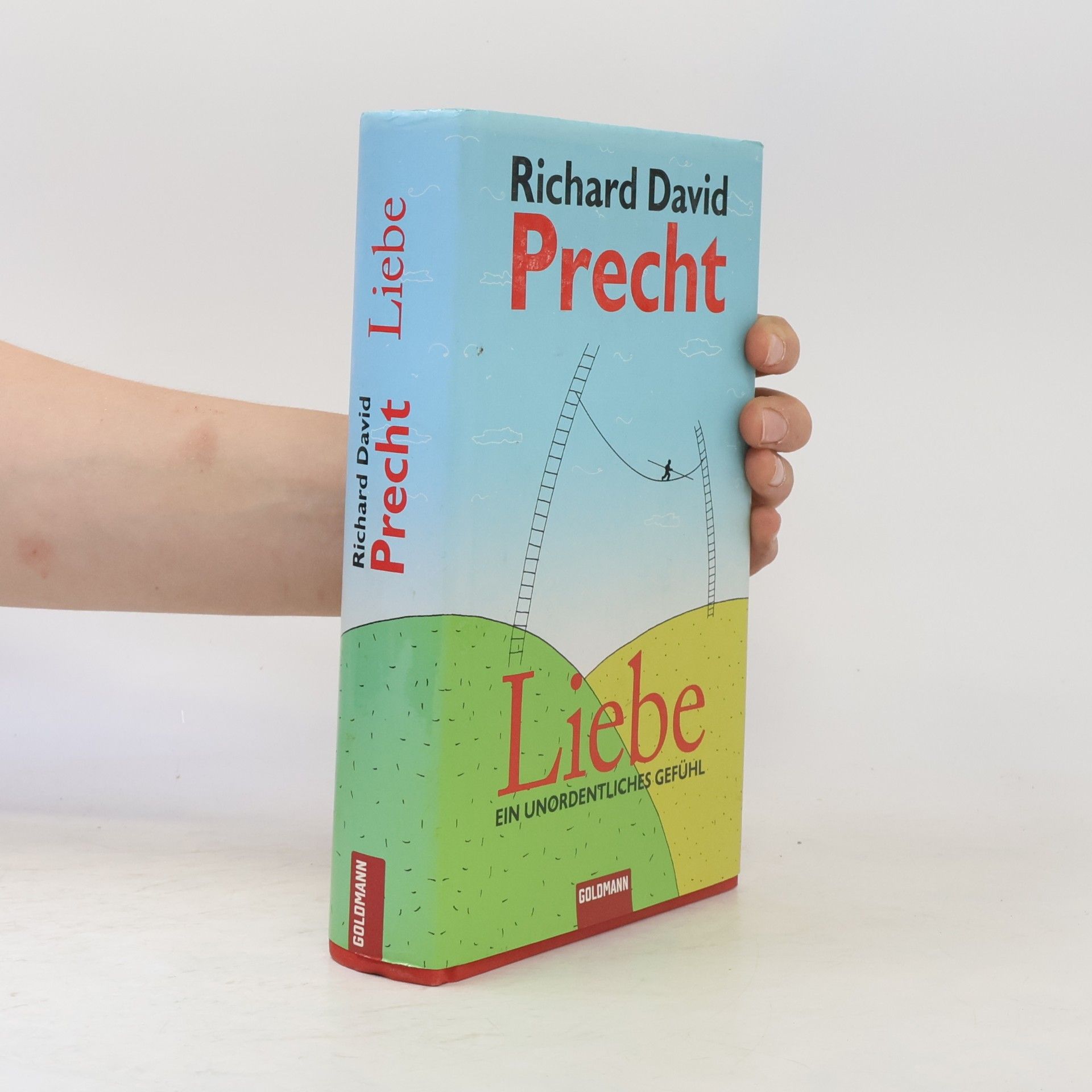 Richard David Precht Liebe ein Unordentliches Gefühl