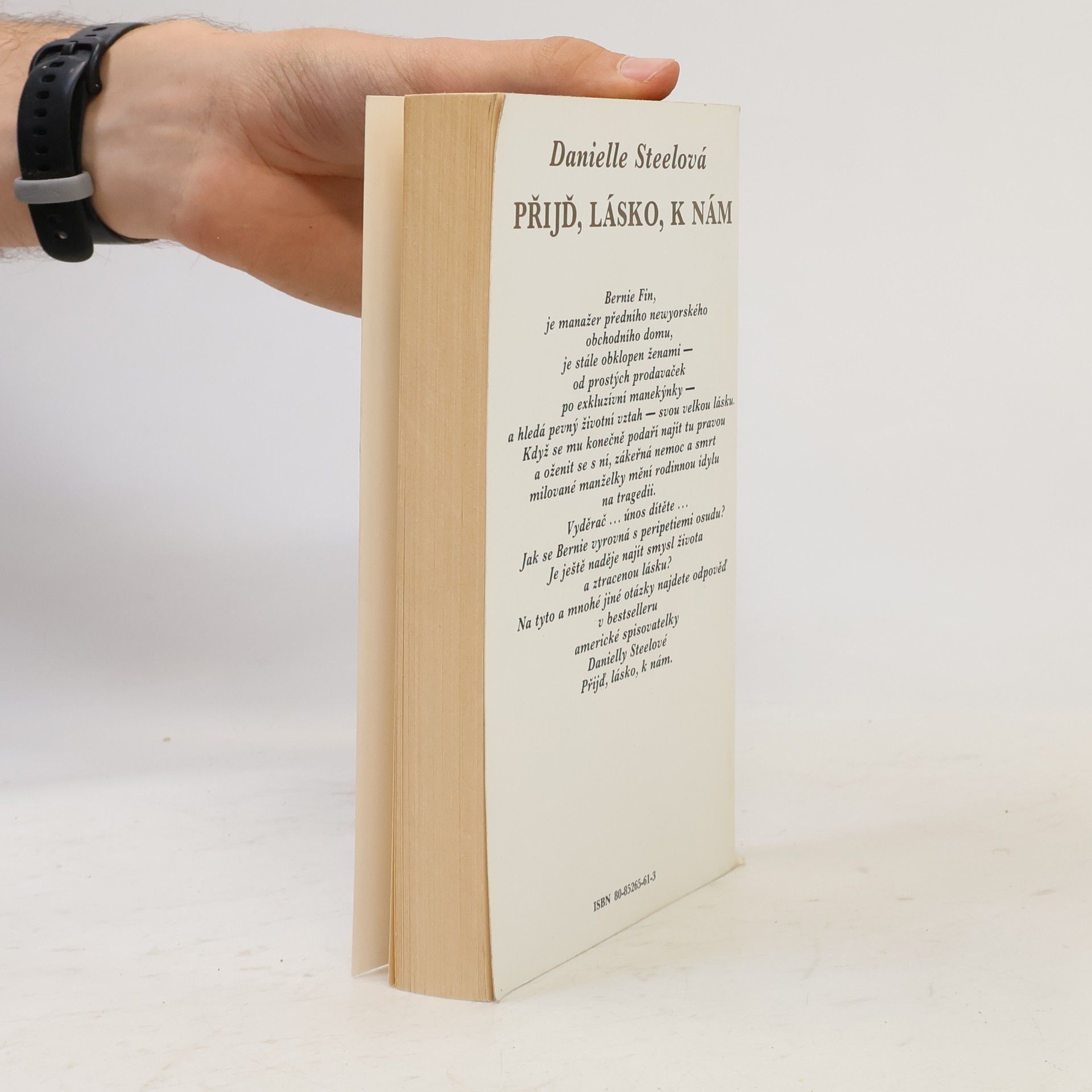 Danielle Steel Přijď, lásko, k nám