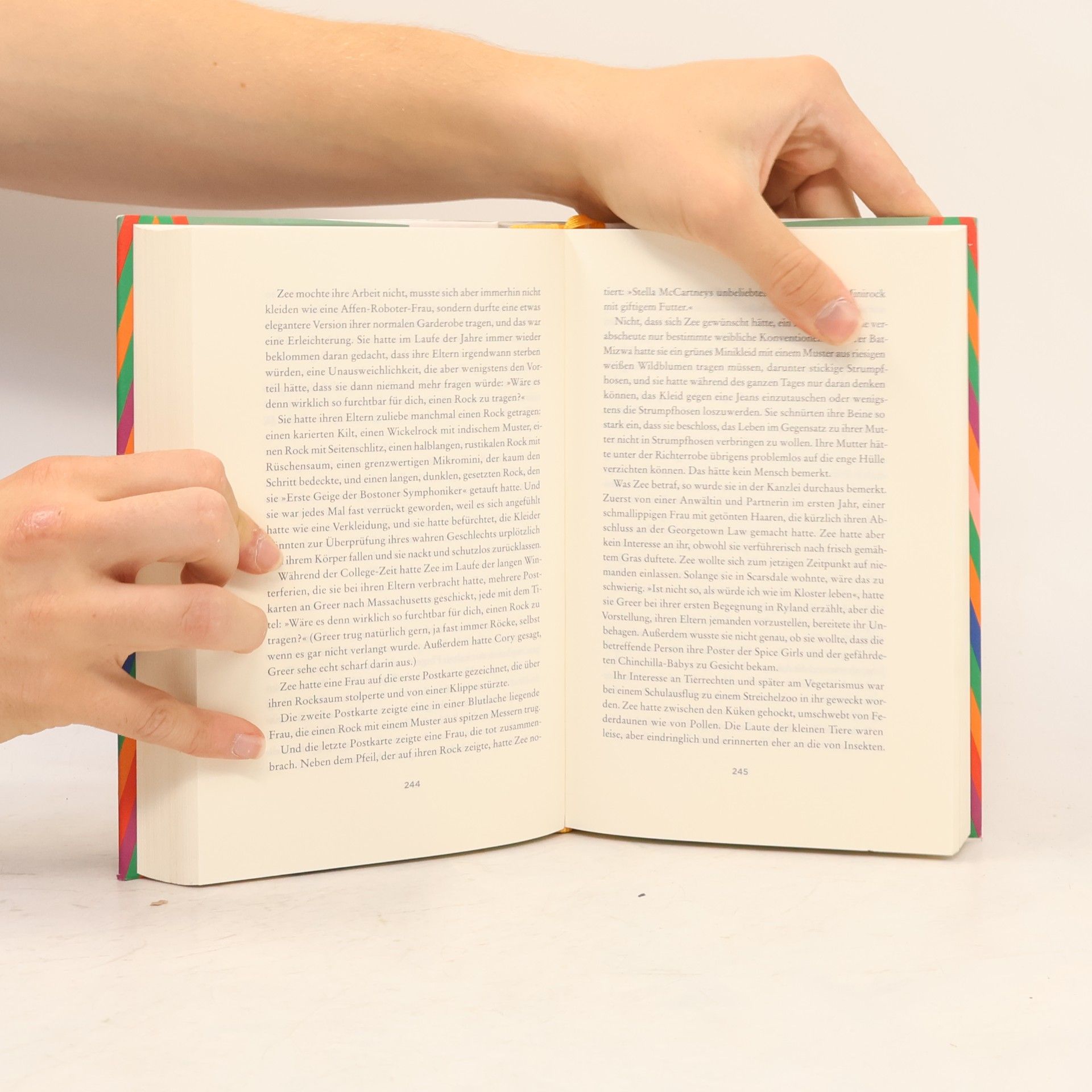 Meg Wolitzer Das weibliche Prinzip