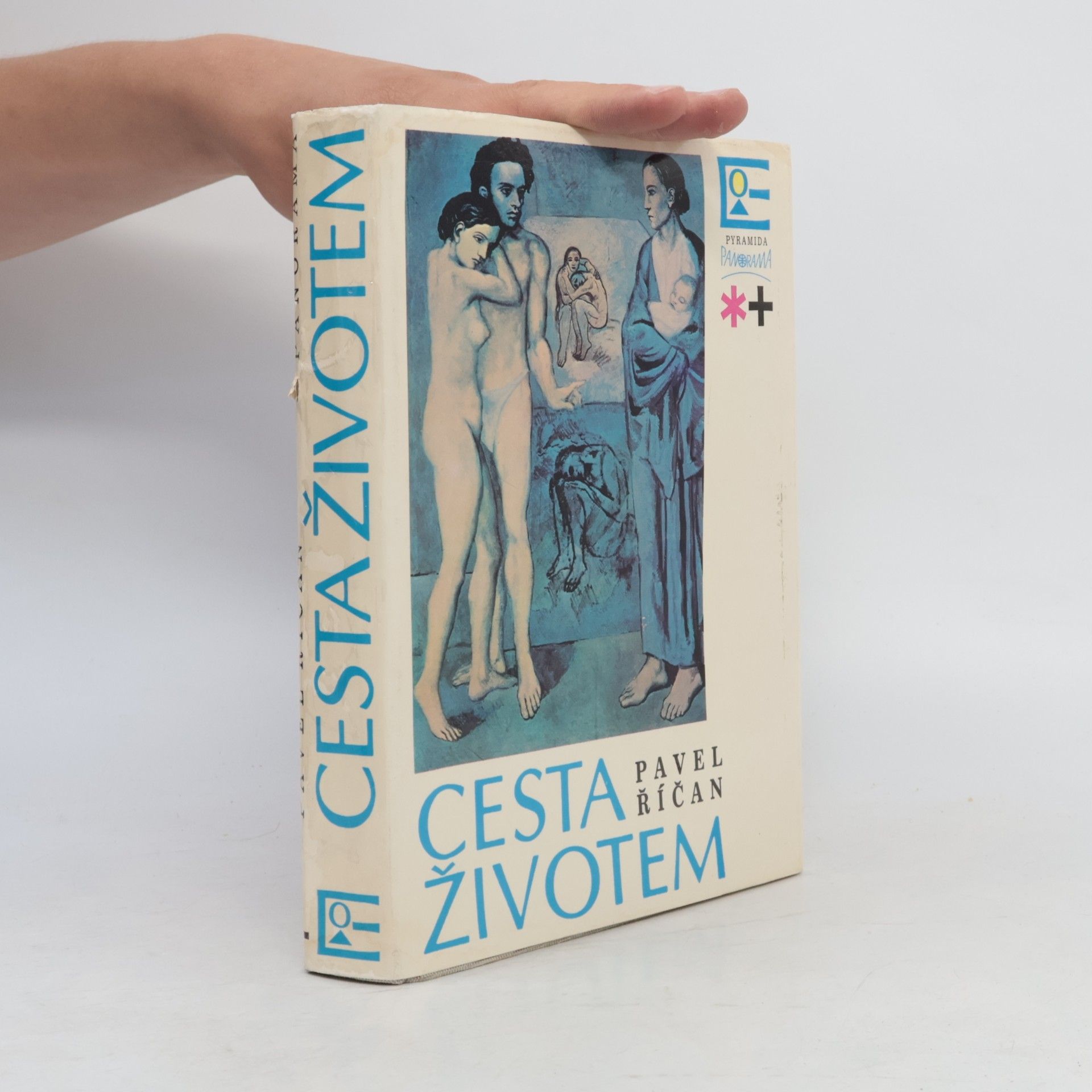 Pavel Říčan Cesta životem