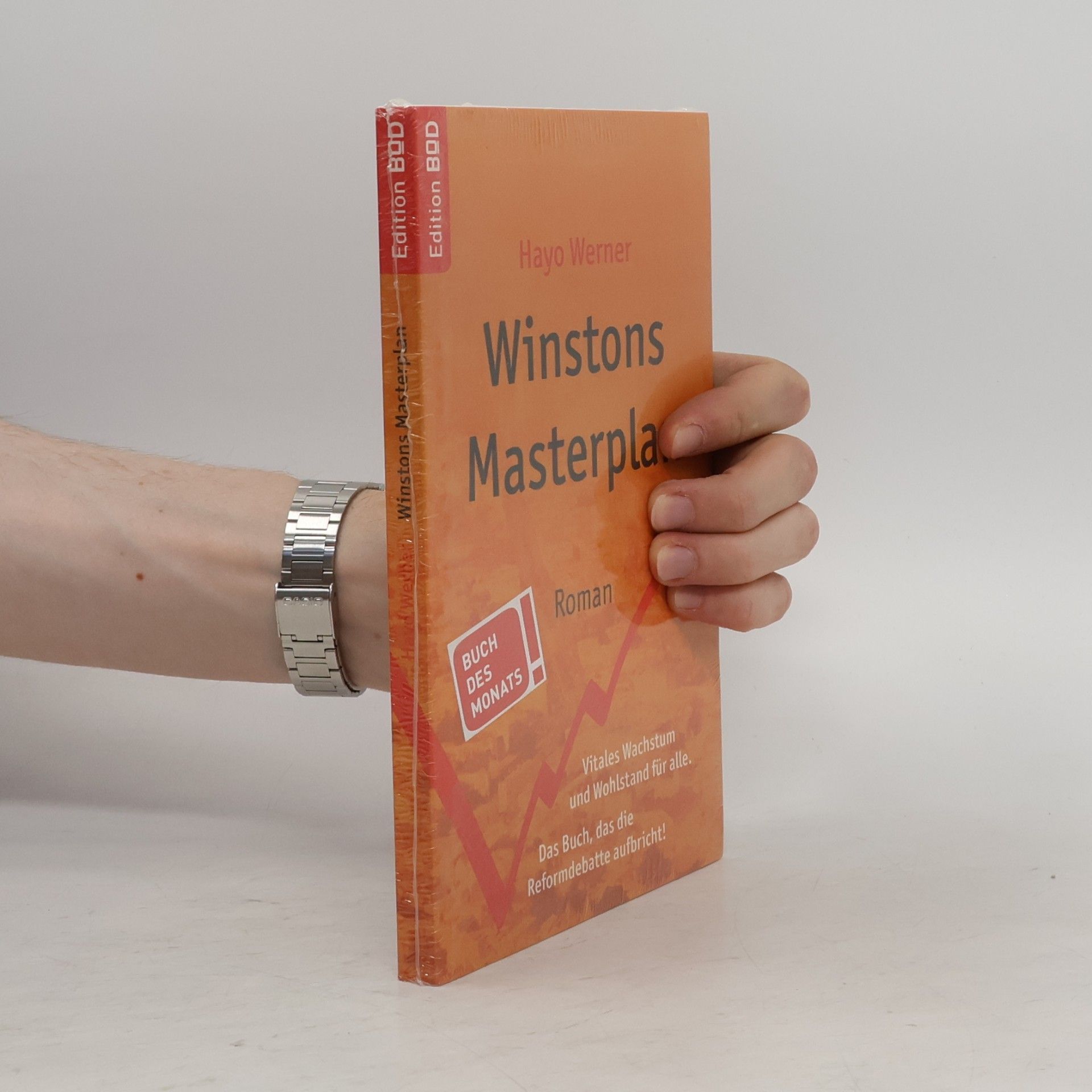 Hayo Werner Winstons Masterplan