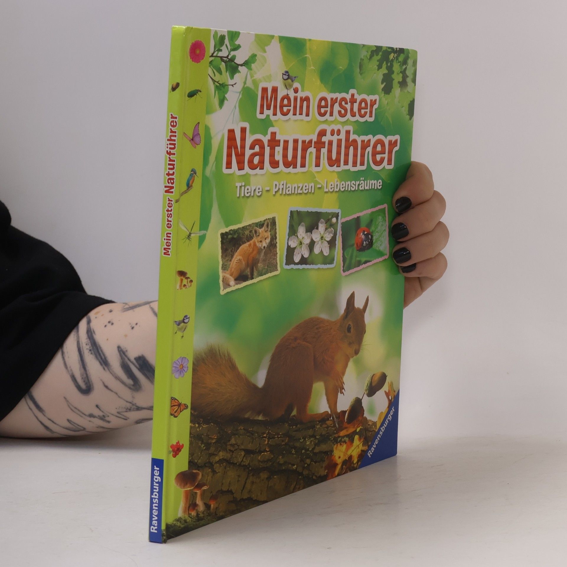 Angelika Lenz Mein erster Naturführer