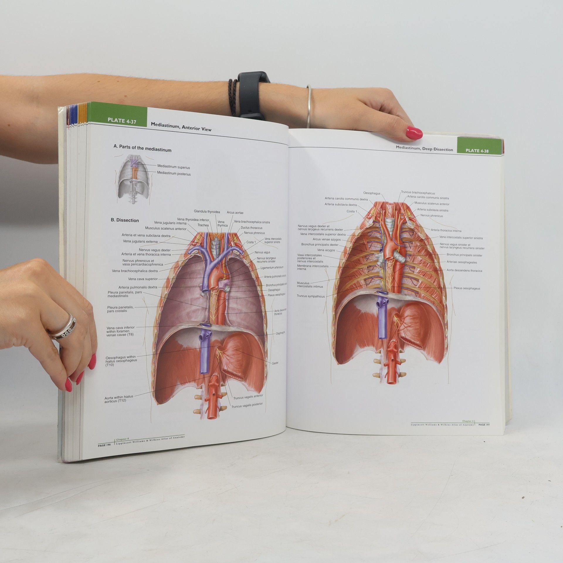Patrick W. Tank LWW Atlas of Anatomy