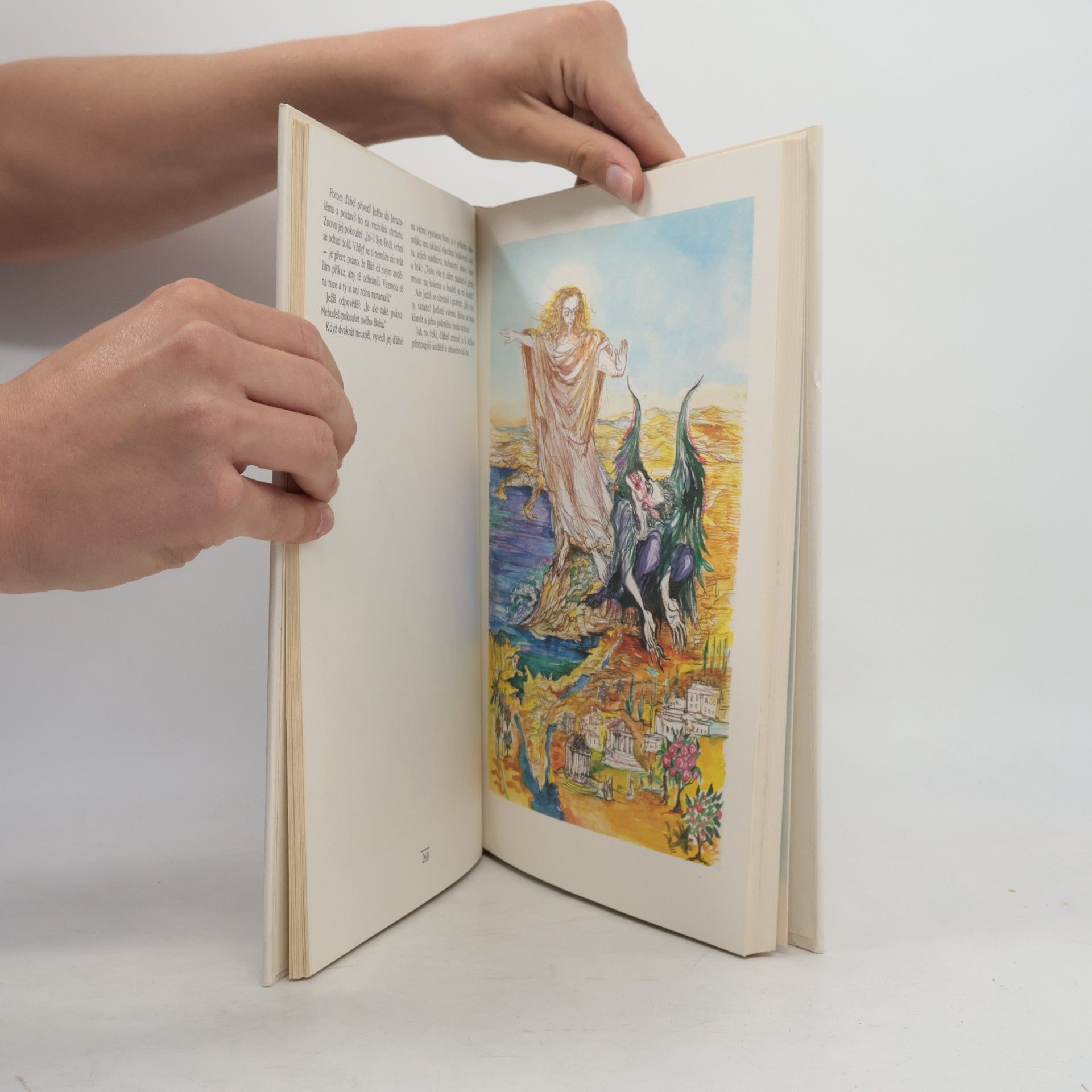 Alena Boráková Dětská bible. Nový zákon